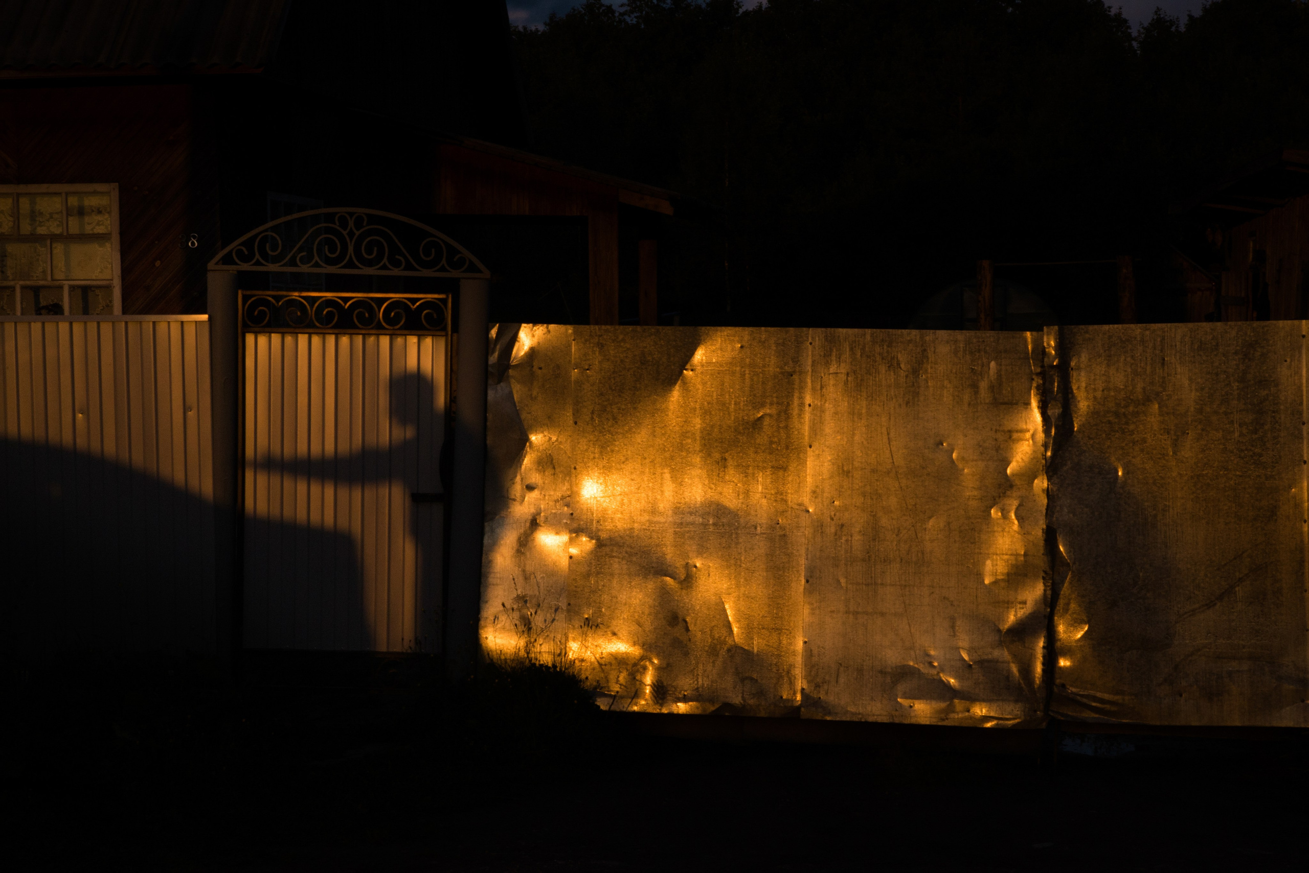 Where the sun shines. Alyona Kochetkova | Photographer and photography educator