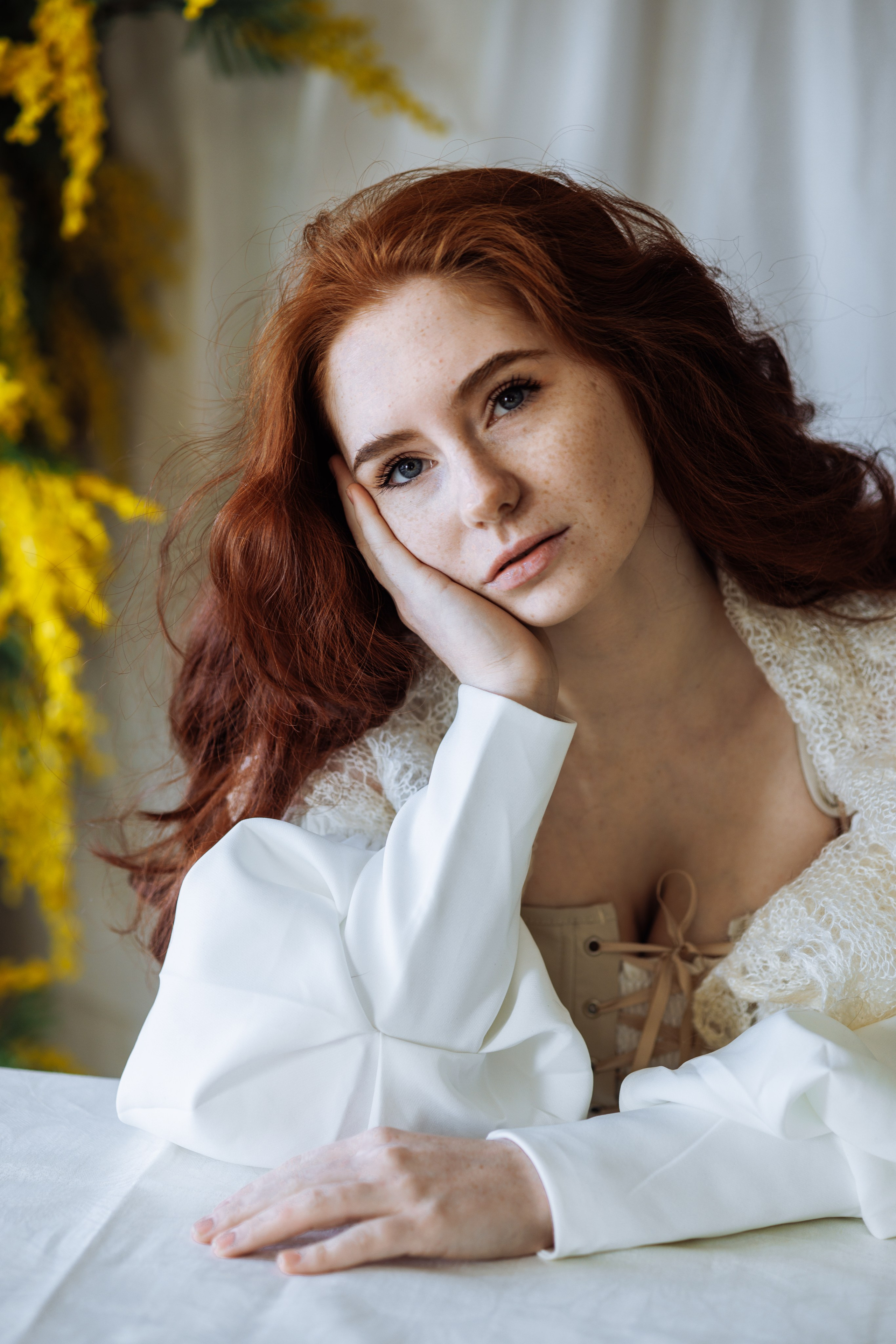 Мимоза. Фотограф в Ульяновске