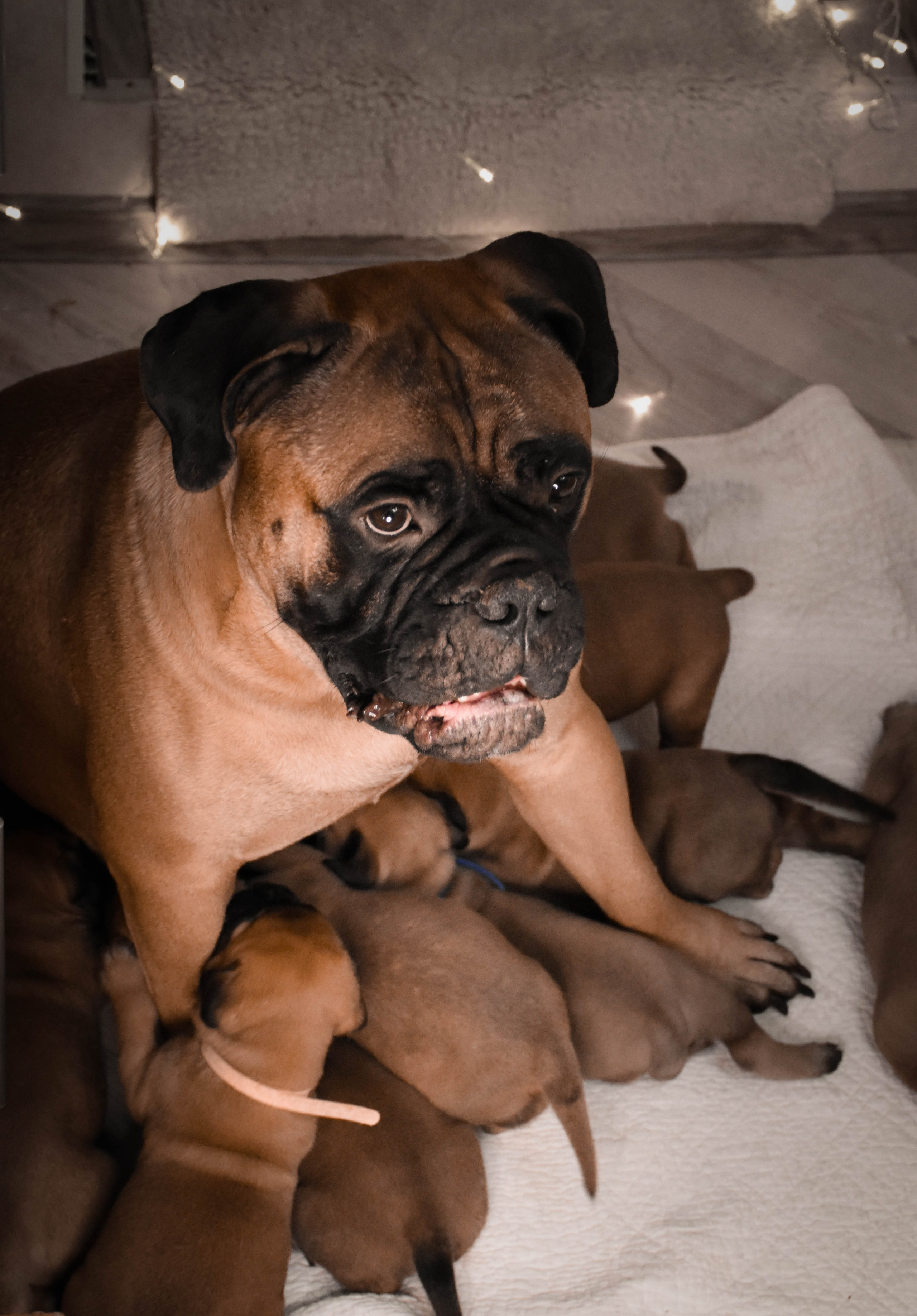 В созвучии с природой. Фотограф Светлана В. Пронина, Москва