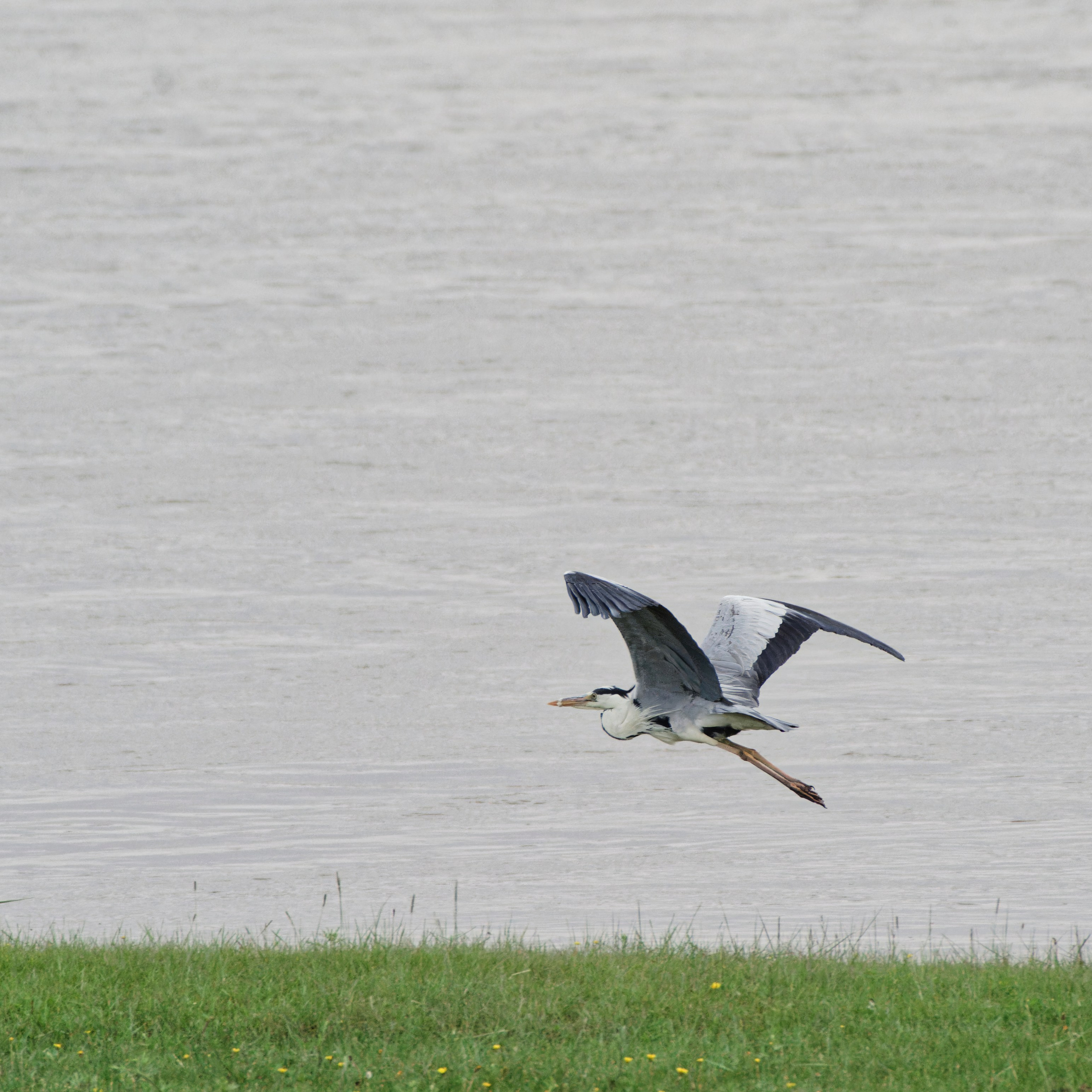 Экспедиция в Монголию (котловина больших озер). Семоха Валерий. Фотограф