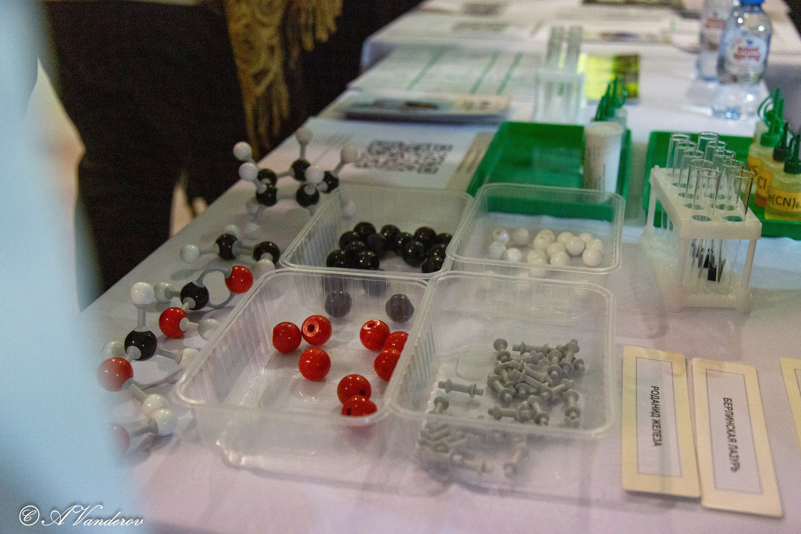 Семейный образовательный форум «Навигатор поступления». Фотограф Омск | Александр Вандеров