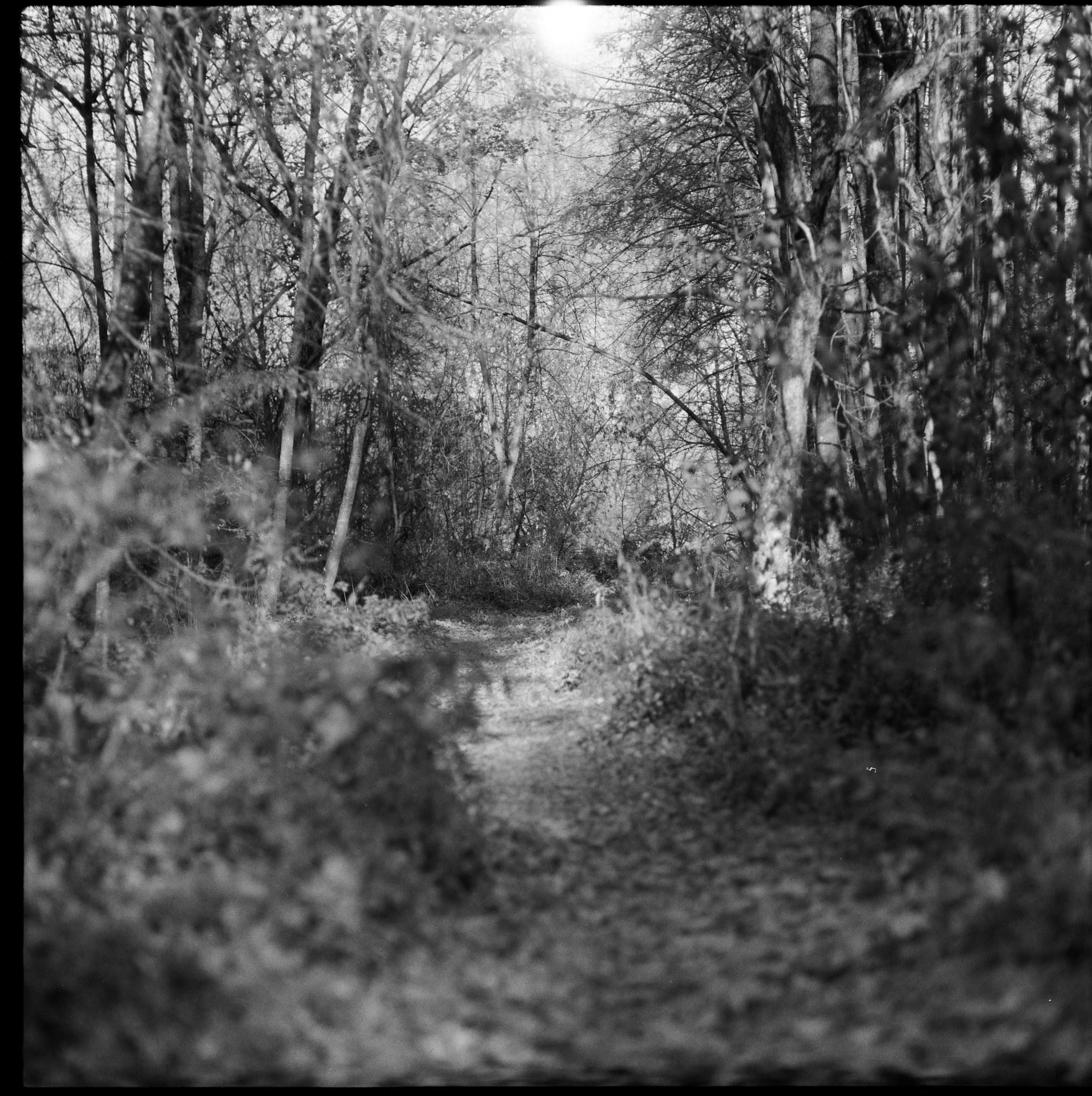 Усадьбы Яропольца. Paintings by the artist Sergey Ratchin