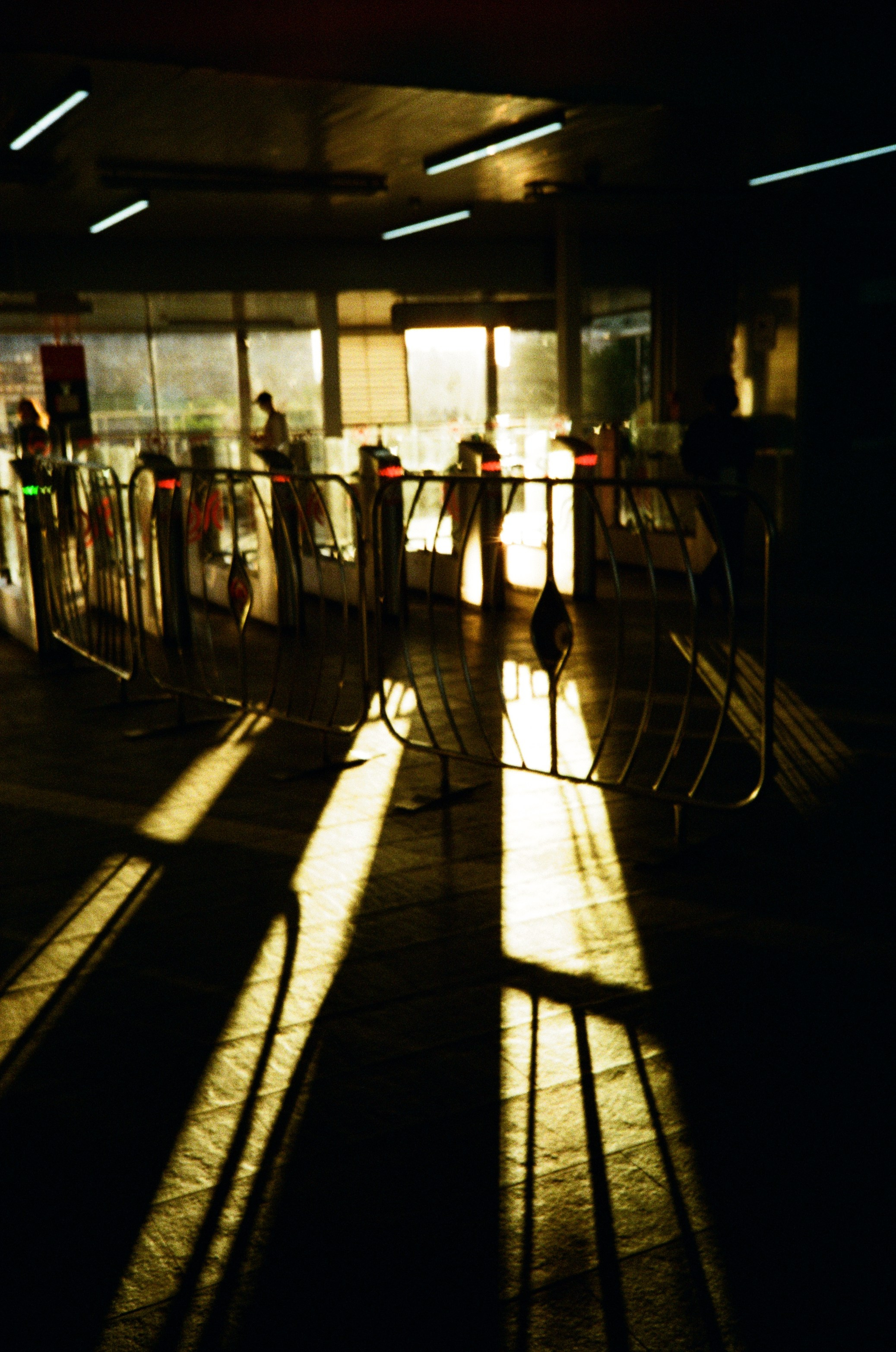 Автор: Мария Самусева