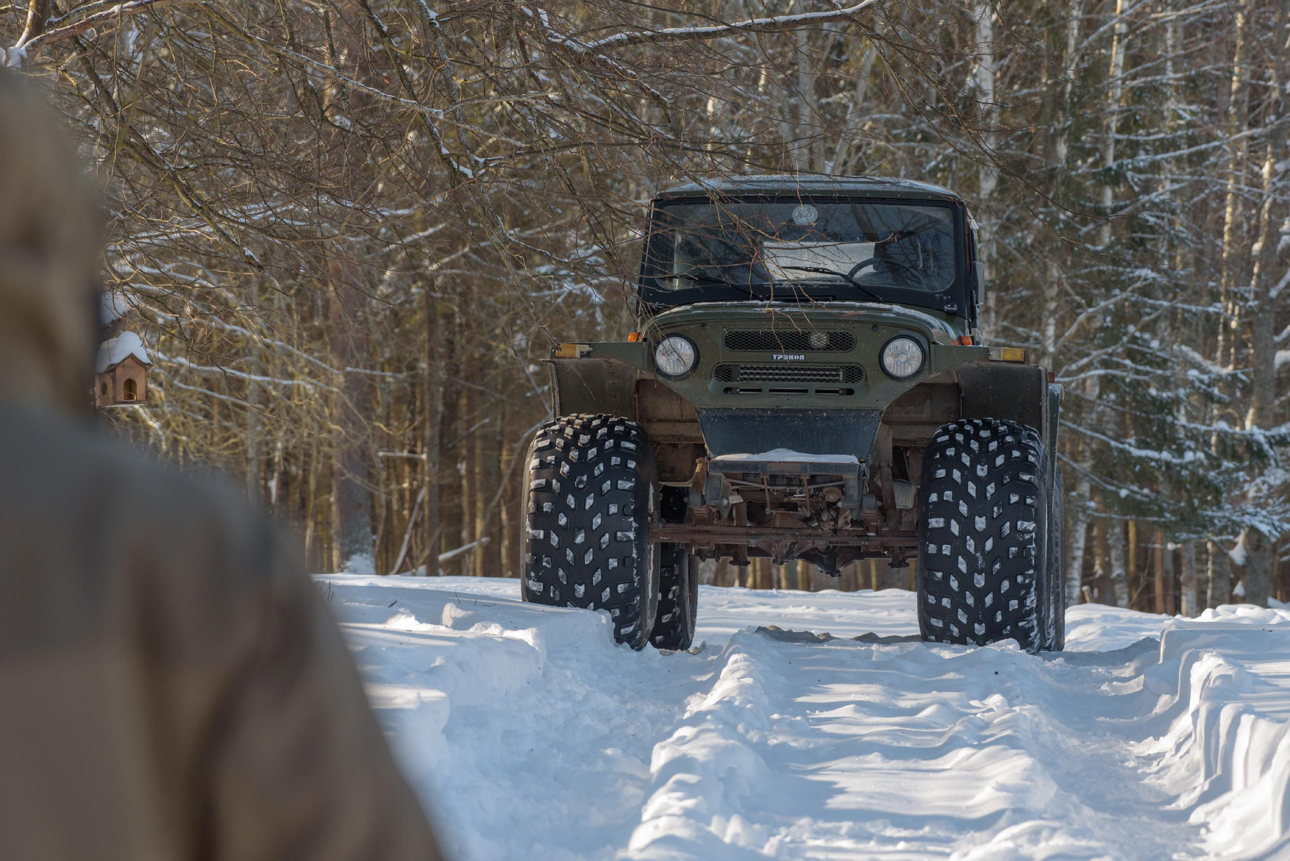 фототуры, фототур, экспедиция, животные, приключение, путешествие, поездка, туры выходного дня, туры по России, фототуры по России, дикая природа, зубры, Калужские засеки