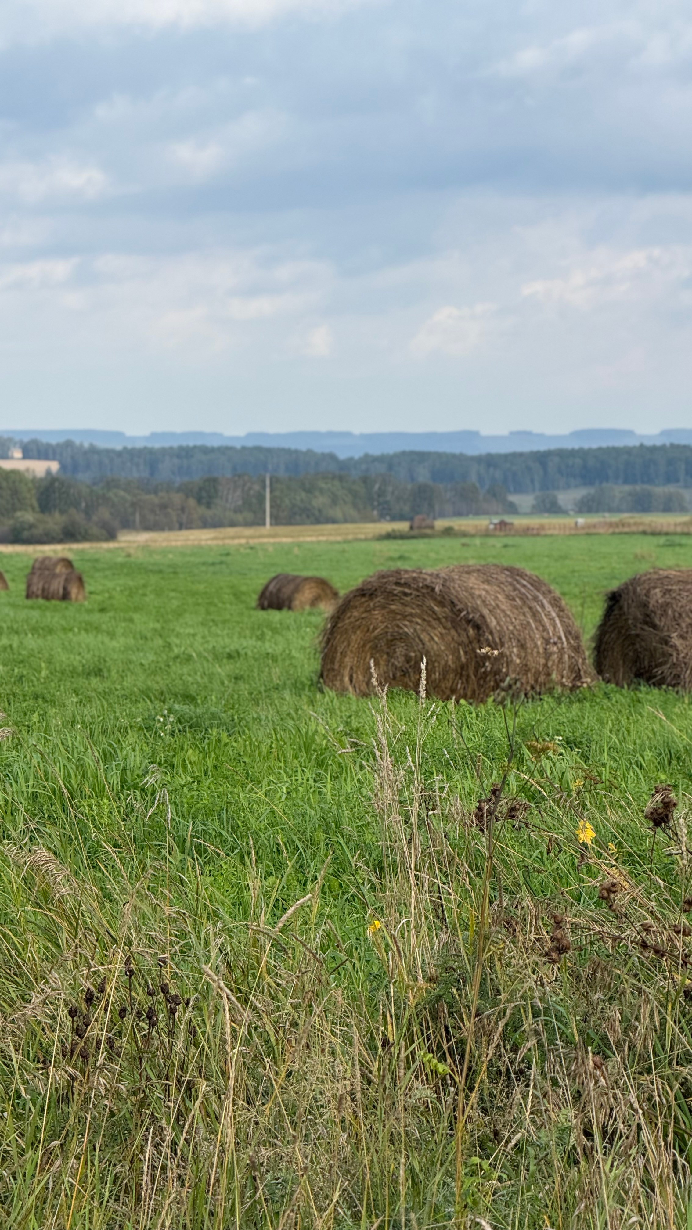 Гид от персонального стилиста: фотосессия в деревенском стиле. Екатерина Ананенко: персональный стилист из Красноярска