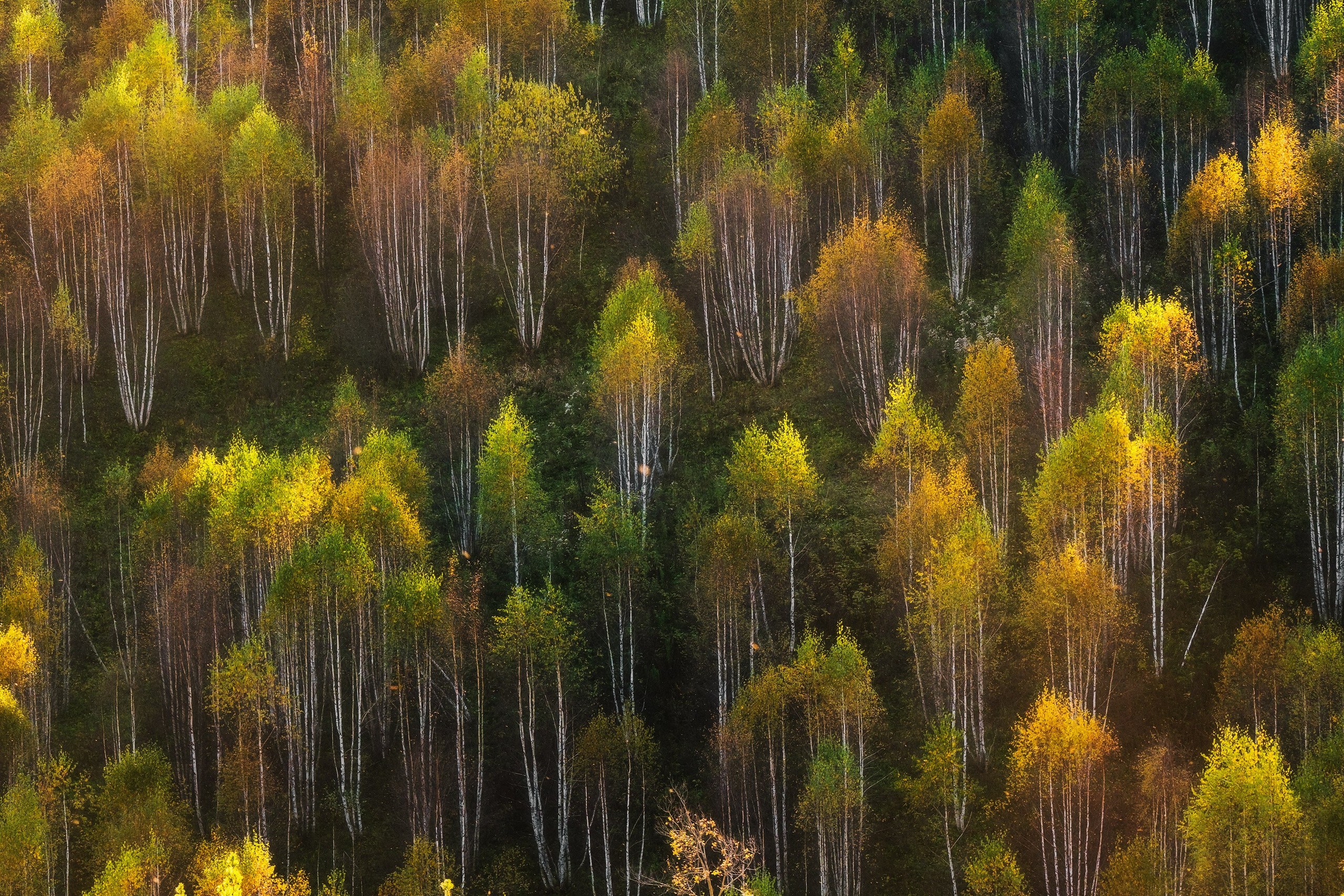 Золотой Башкортостан сентябрь