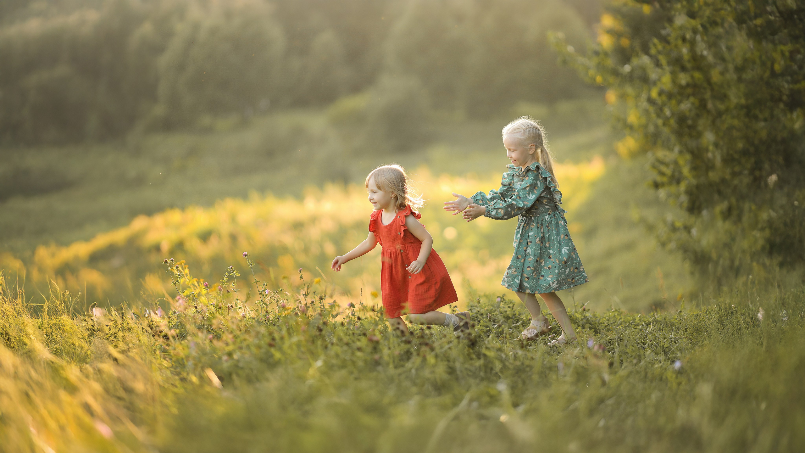 Семейный и школьный фотограф в Костроме Алина Торопова
