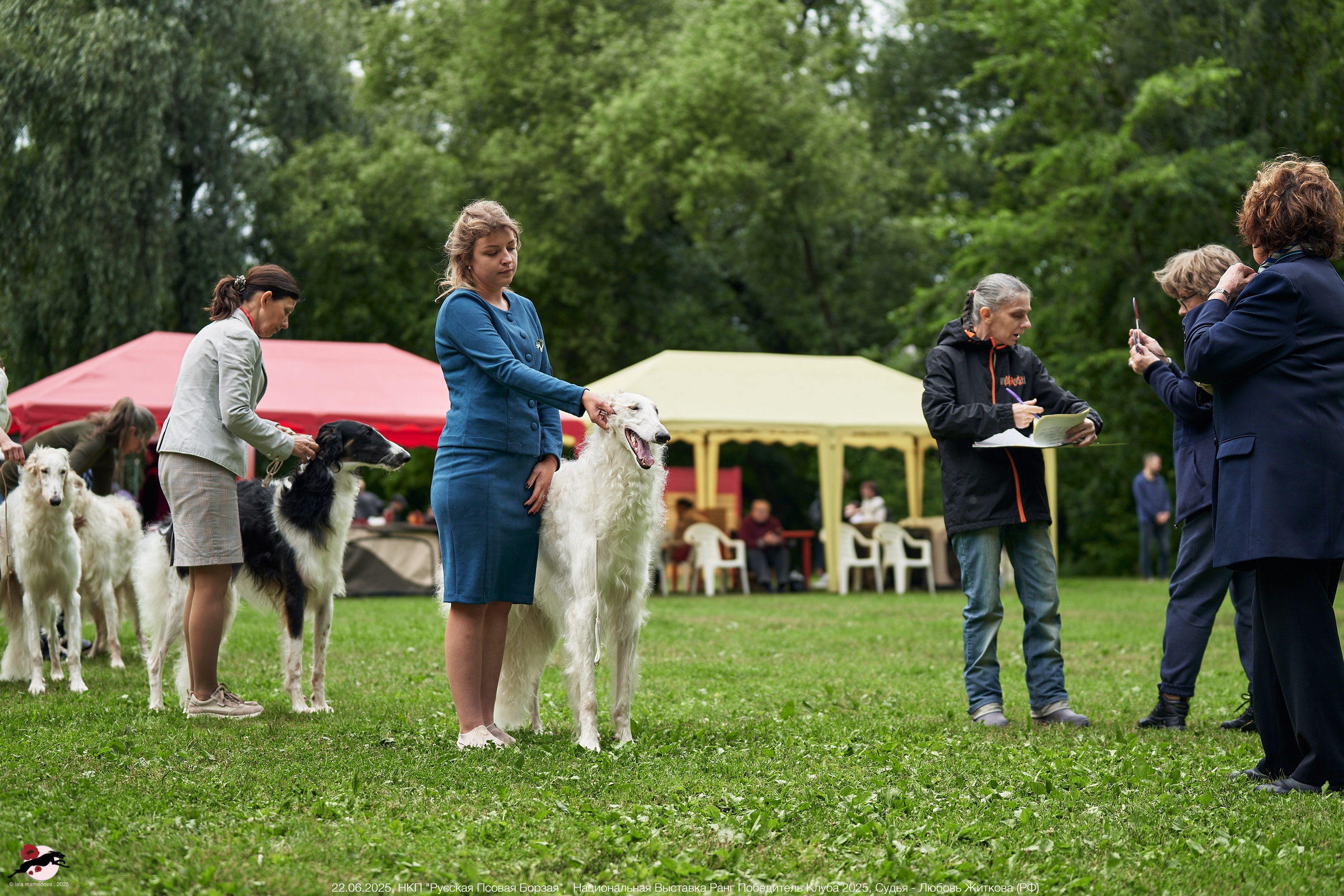 22.06.2025 | Национальная Выставка НКП "Русская Псовая Борзая"