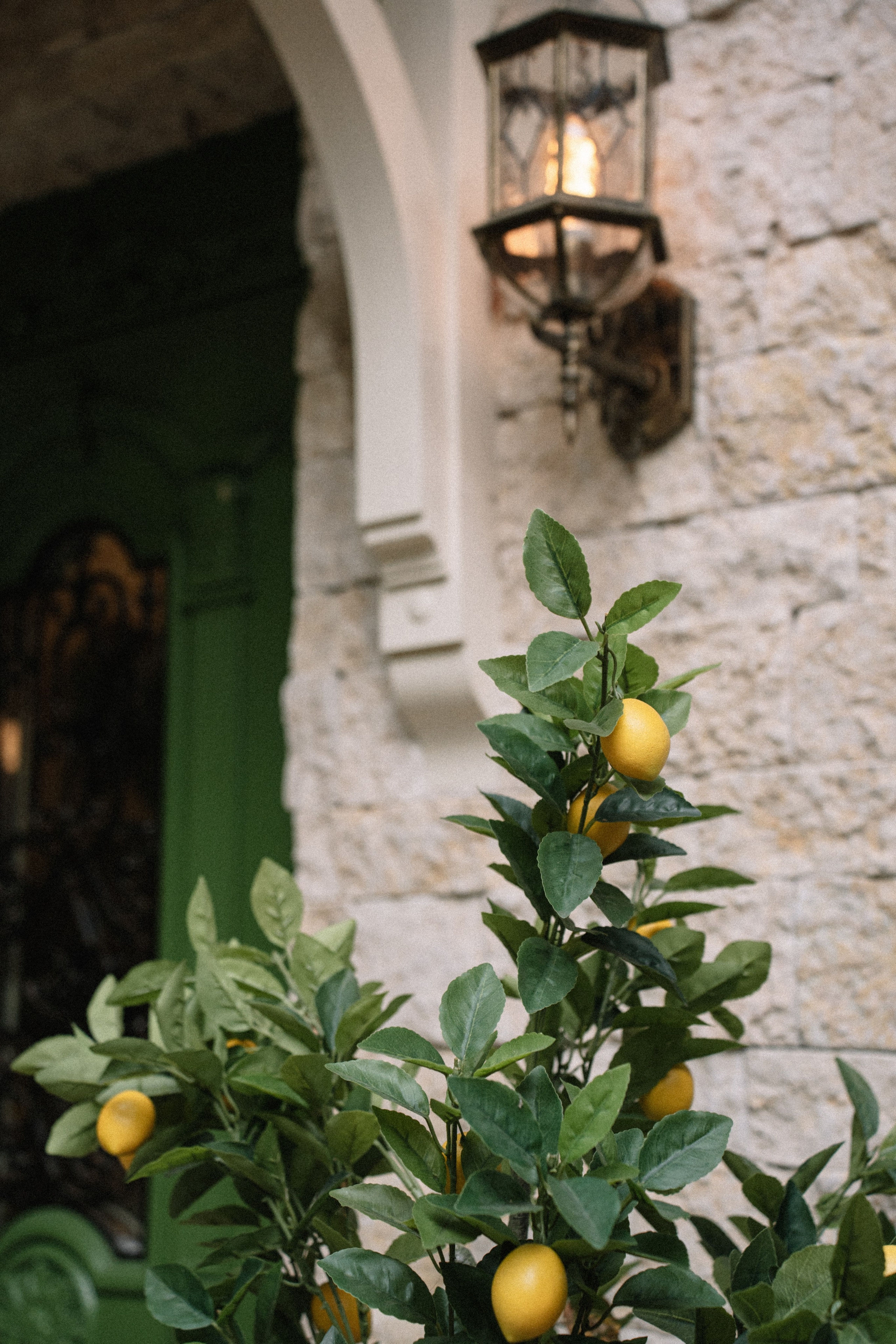 Свадебная фотосессия на вилле VILLA ROSSA