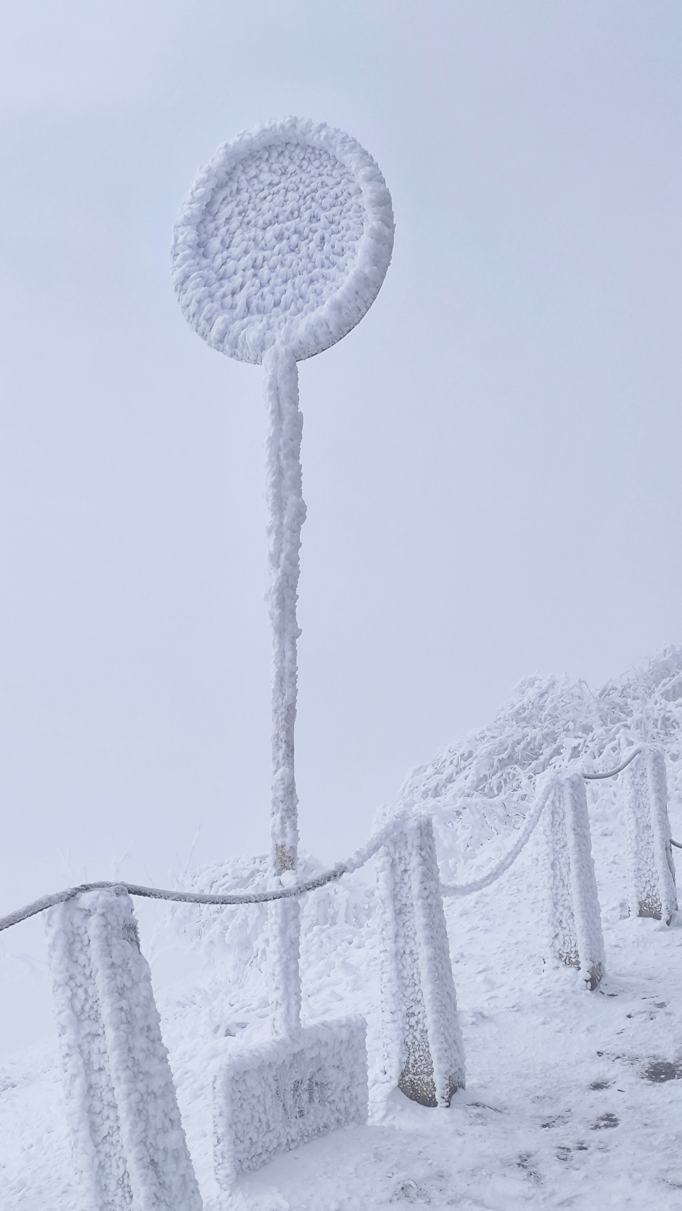 Дорожный знак зимой