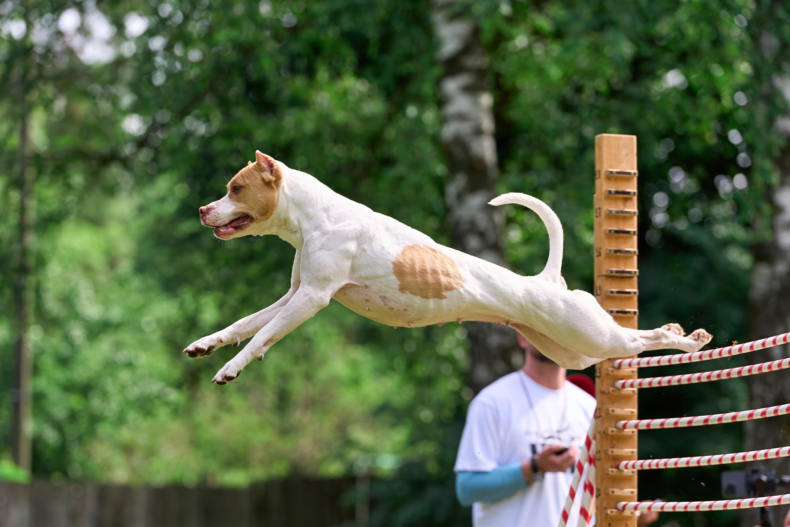 Двухдневные соревнования «Jump'n'Gym Fest — 2024». Фотограф-анималист Михаил Манухин