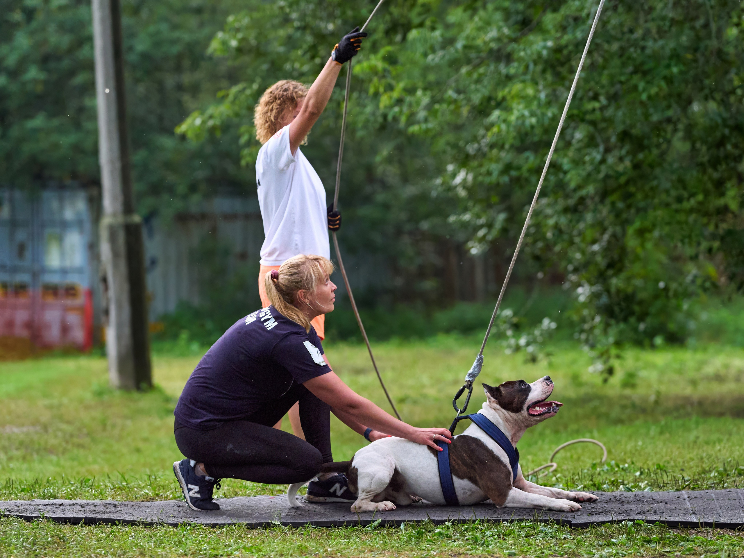Jump'n'Gym JUMP! — 2024. Фотограф-анималист Михаил Манухин