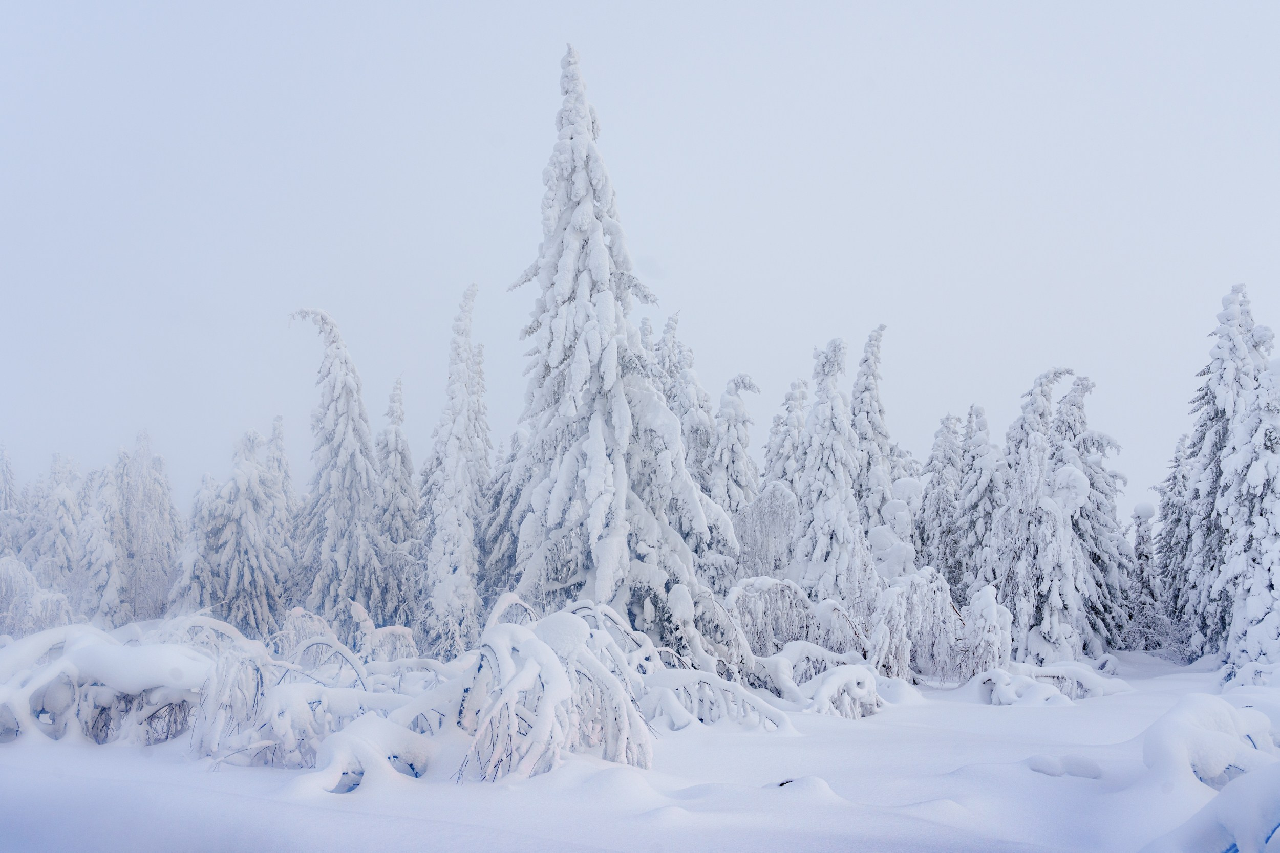 Зимняя сказка Пермского края