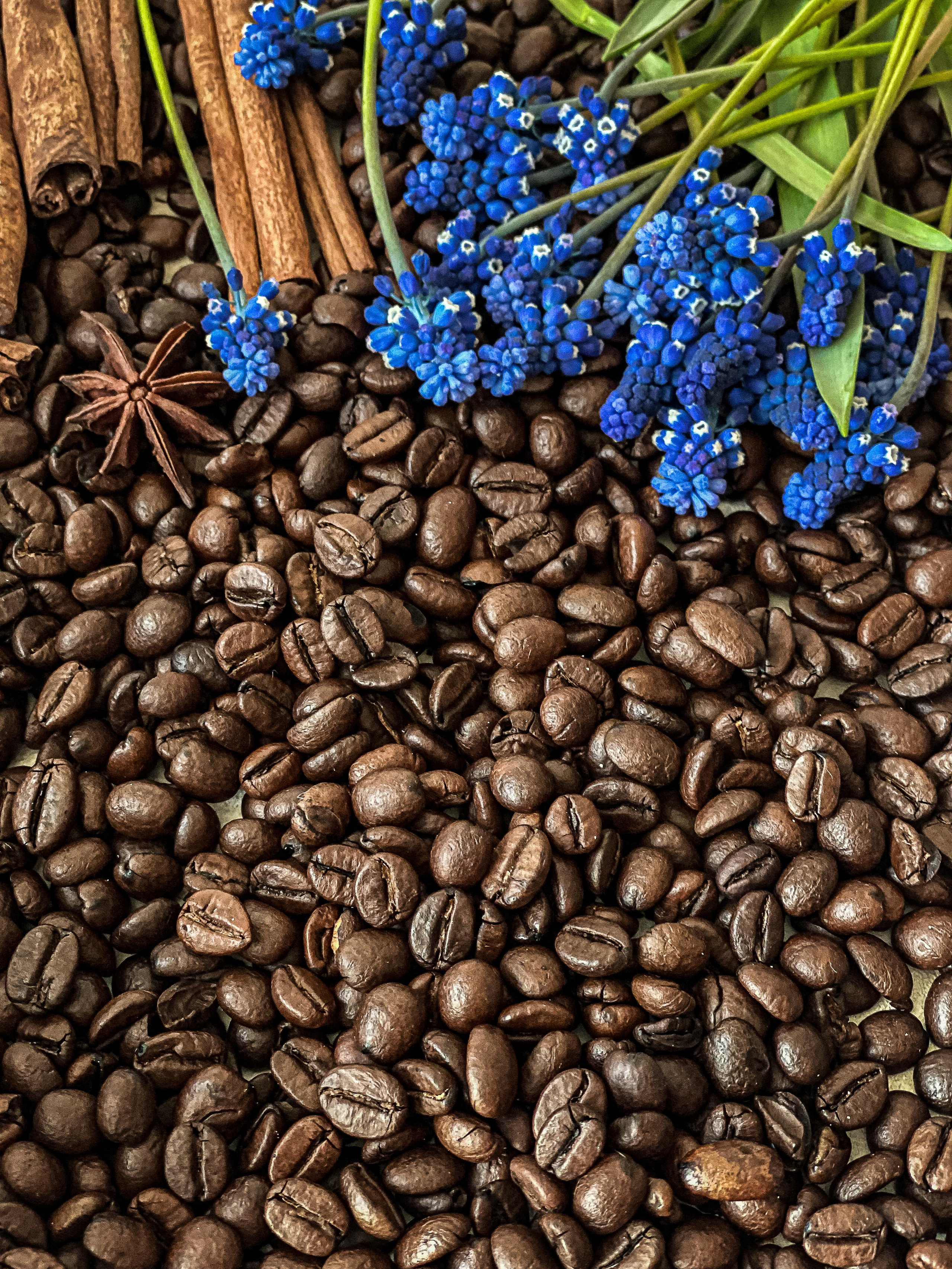 ФУД СЪЕМКА. СЪЕМКА КОФЕ. ЧАЯ. ШОКОЛАДА. Светлана Афромеева. Предметный фотограф. Волгоград