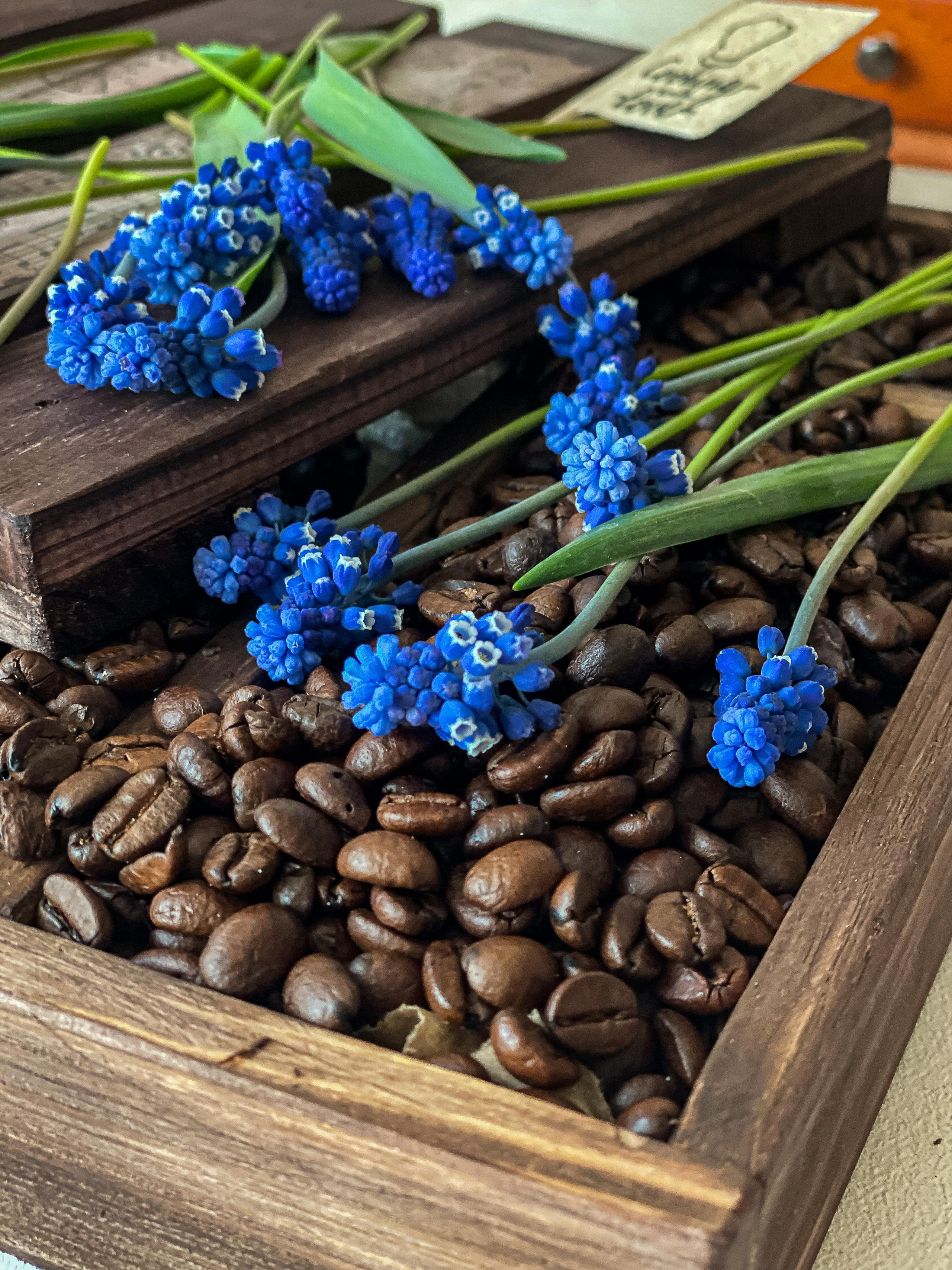 ФУД СЪЕМКА. СЪЕМКА КОФЕ. ЧАЯ. ШОКОЛАДА. Светлана Афромеева. Предметный фотограф. Волгоград