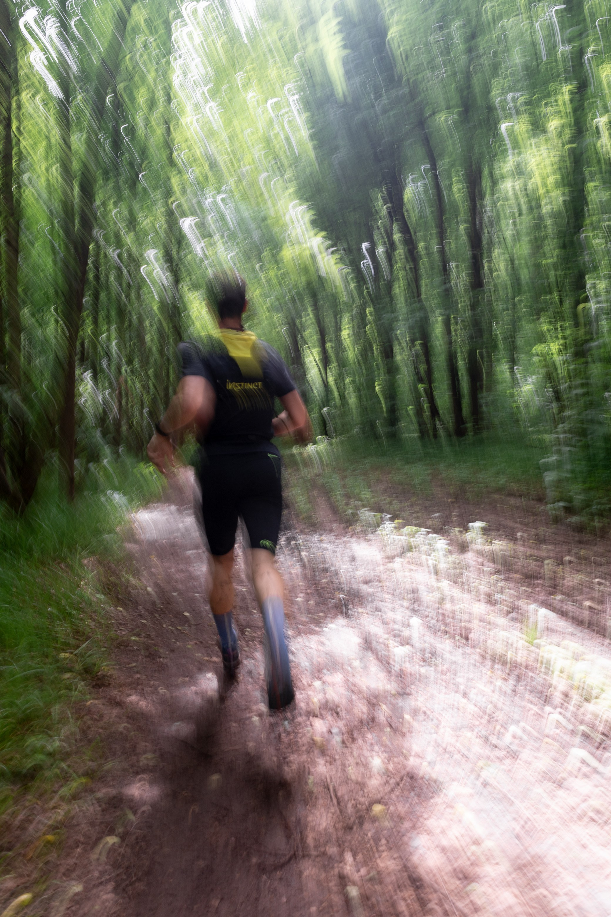 CityTrail Ромашково