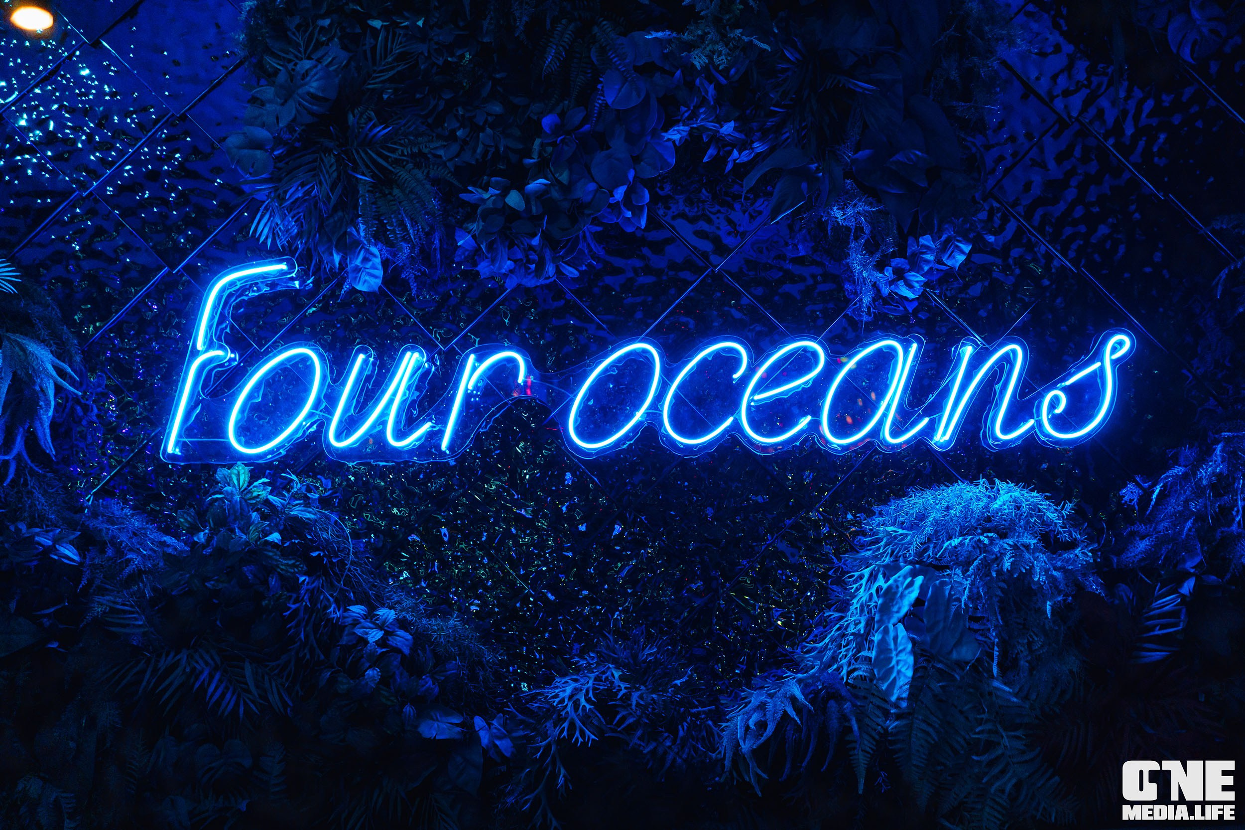 Фоторепортаж из ресторана Океан. One Media Life: фоторепортажи, фотоотчеты с мероприятий и заведений