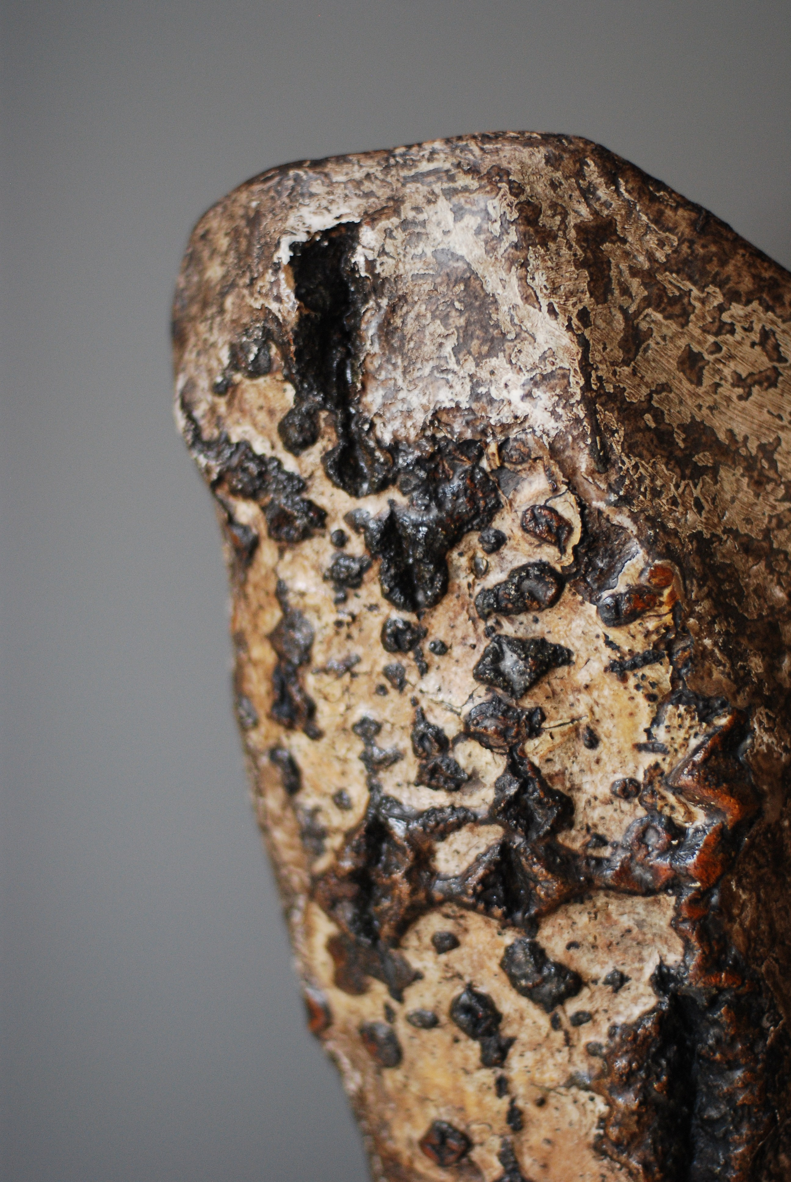 Эволюция духа 2. ЕЛЕНА МЕШКОВА мультидисциплинарный художник