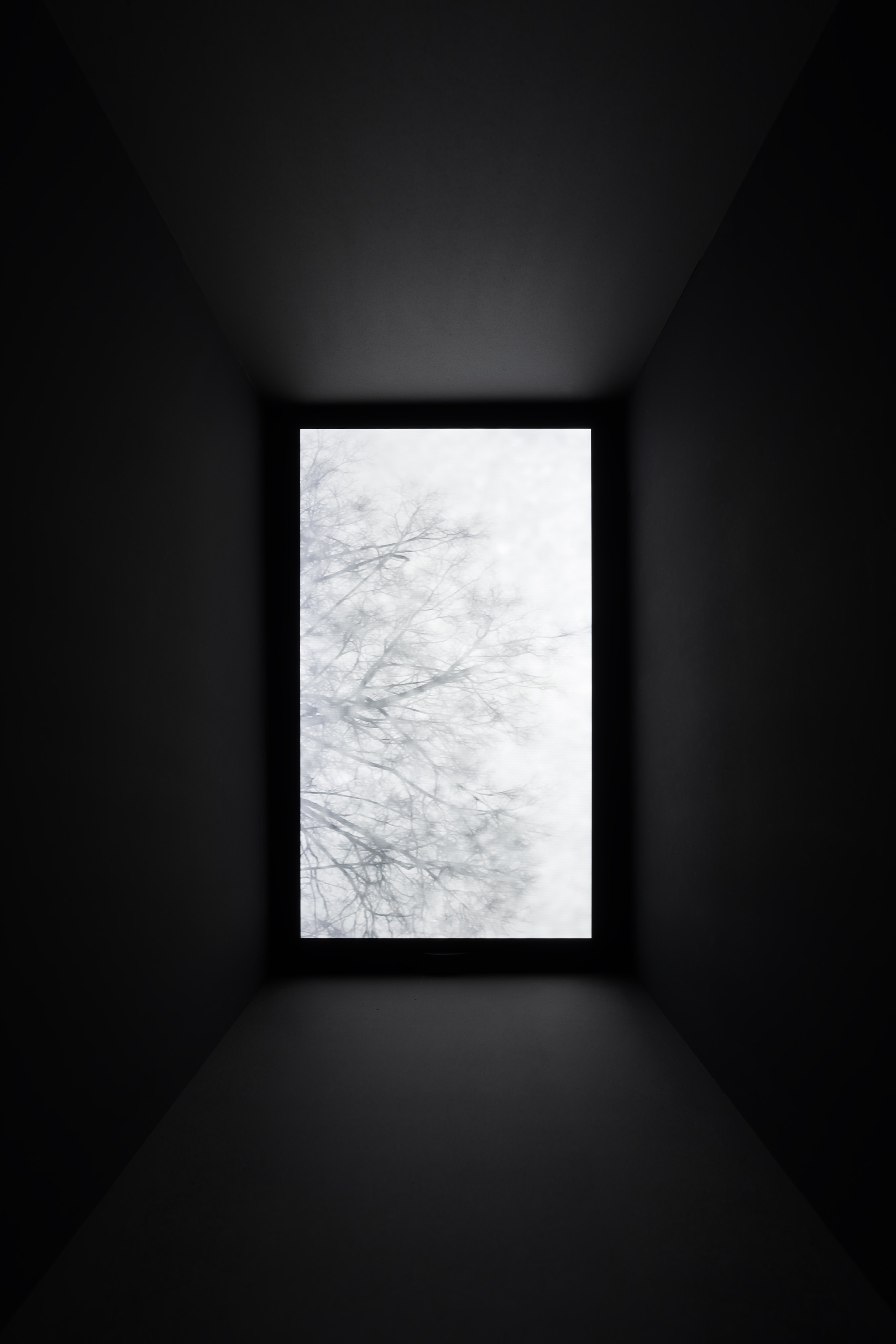 Нежные бабы. Что мне делать, чтобы земля оставалась на месте. Художественная группа «Нежные Бабы»