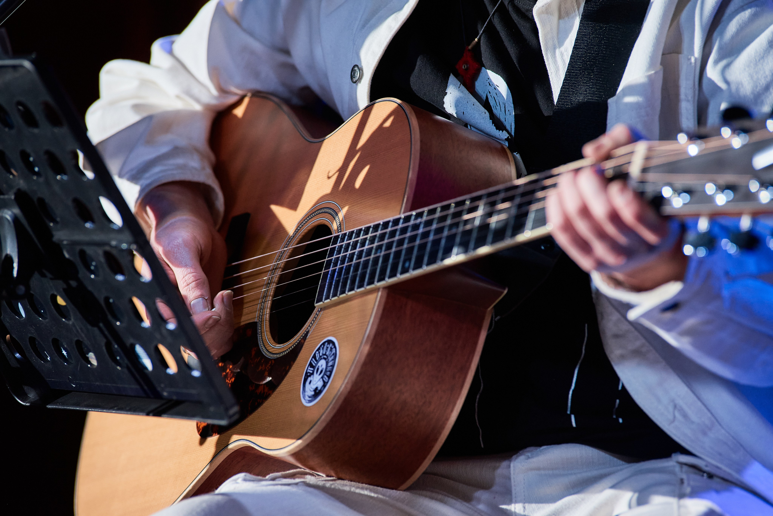 Музыкальный день рождения. Профессиональный фотограф (Краснодар) Роман Гончаров