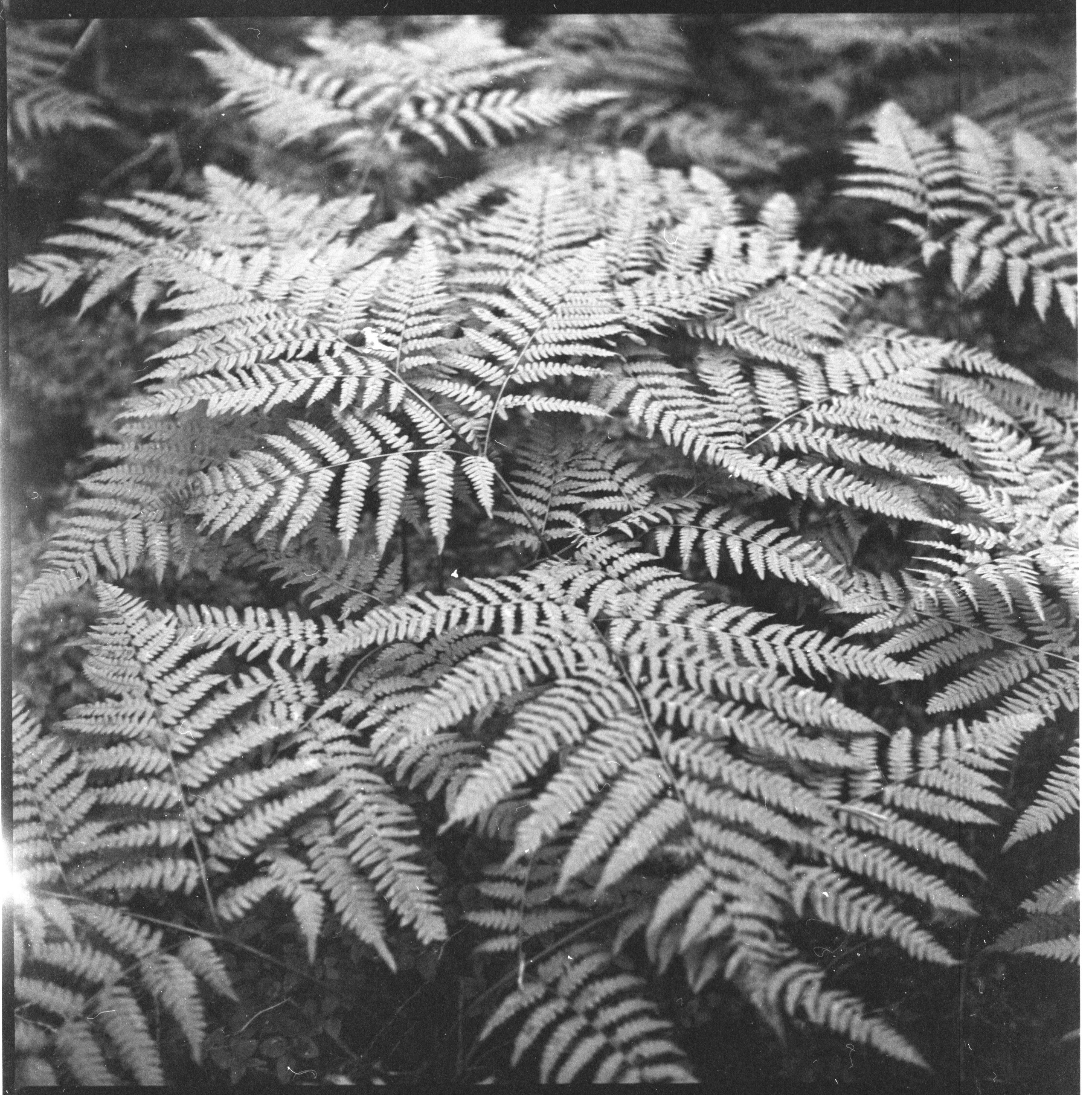 Интерьерные фотографии. Илья Михачёв Фотограф ПРО людей