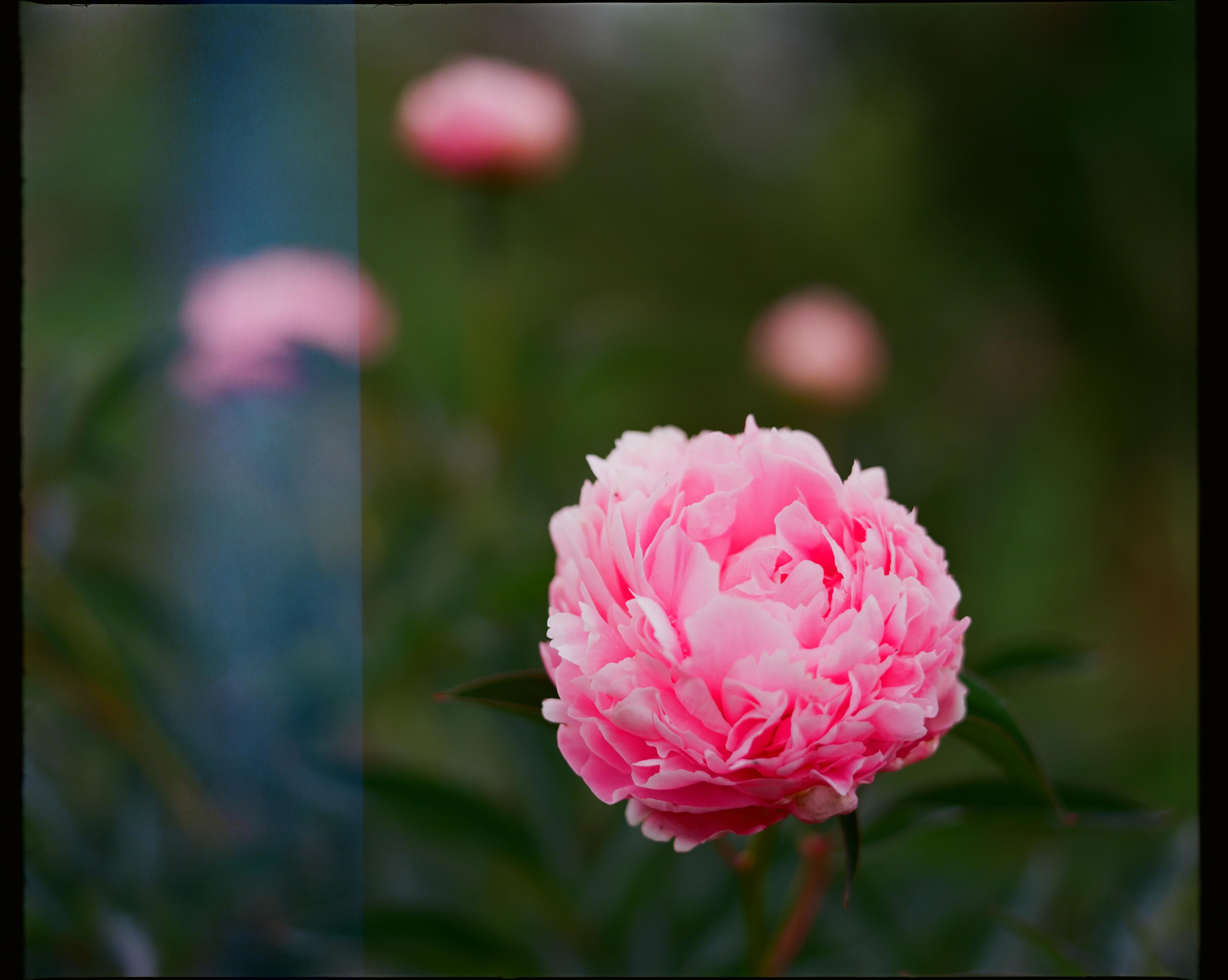 Интерьерные фотографии. Илья Михачёв Фотограф ПРО людей