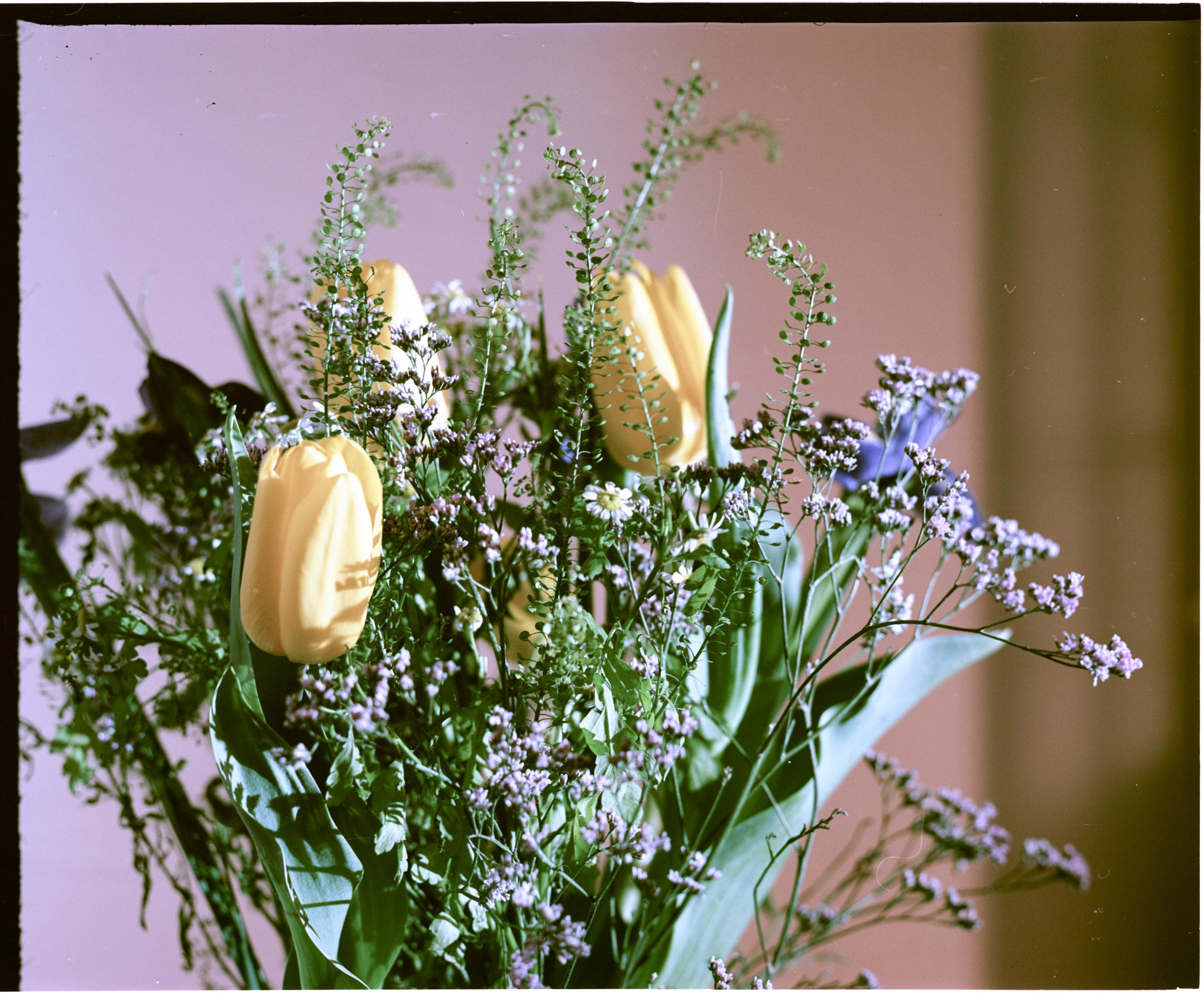 Интерьерные фотографии. Илья Михачёв Фотограф ПРО людей