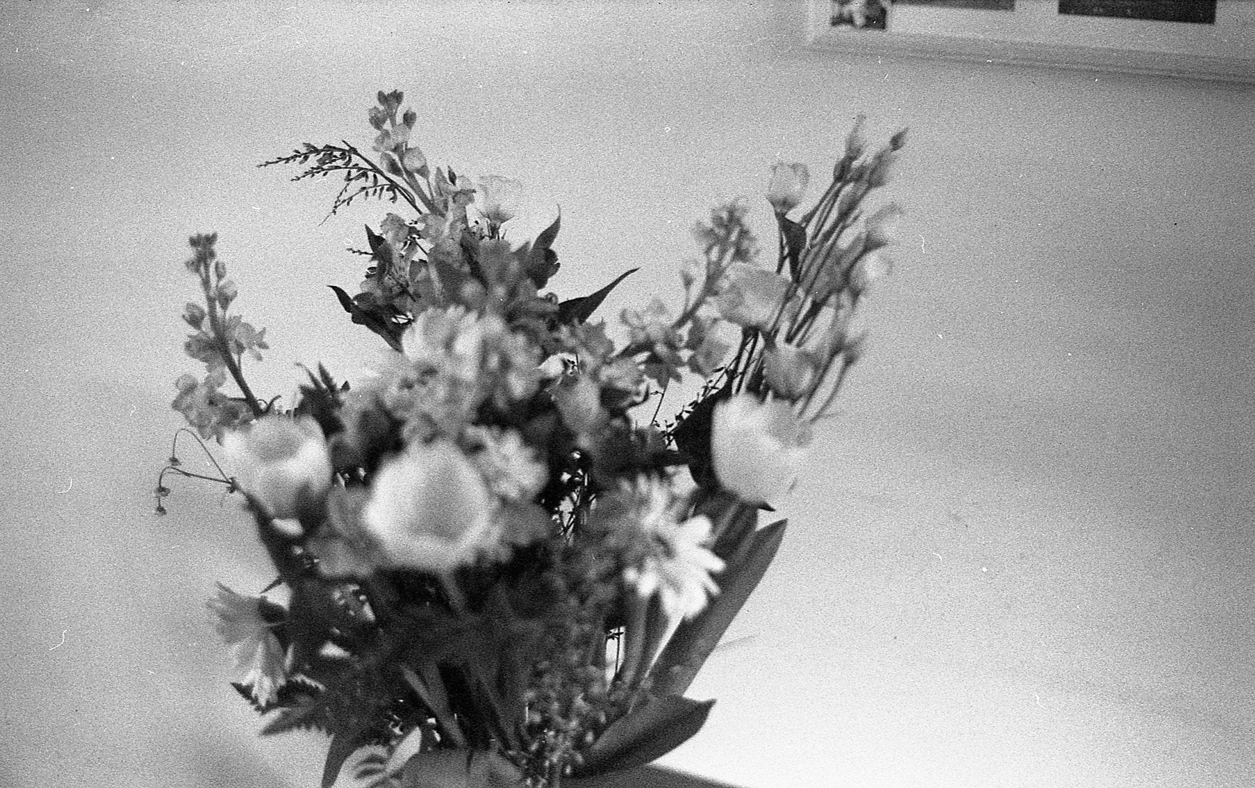 Интерьерные фотографии. Илья Михачёв Фотограф ПРО людей