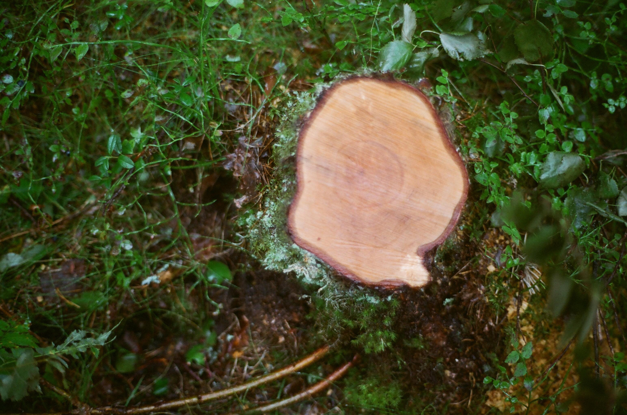 Интерьерные фотографии. Илья Михачёв Фотограф ПРО людей