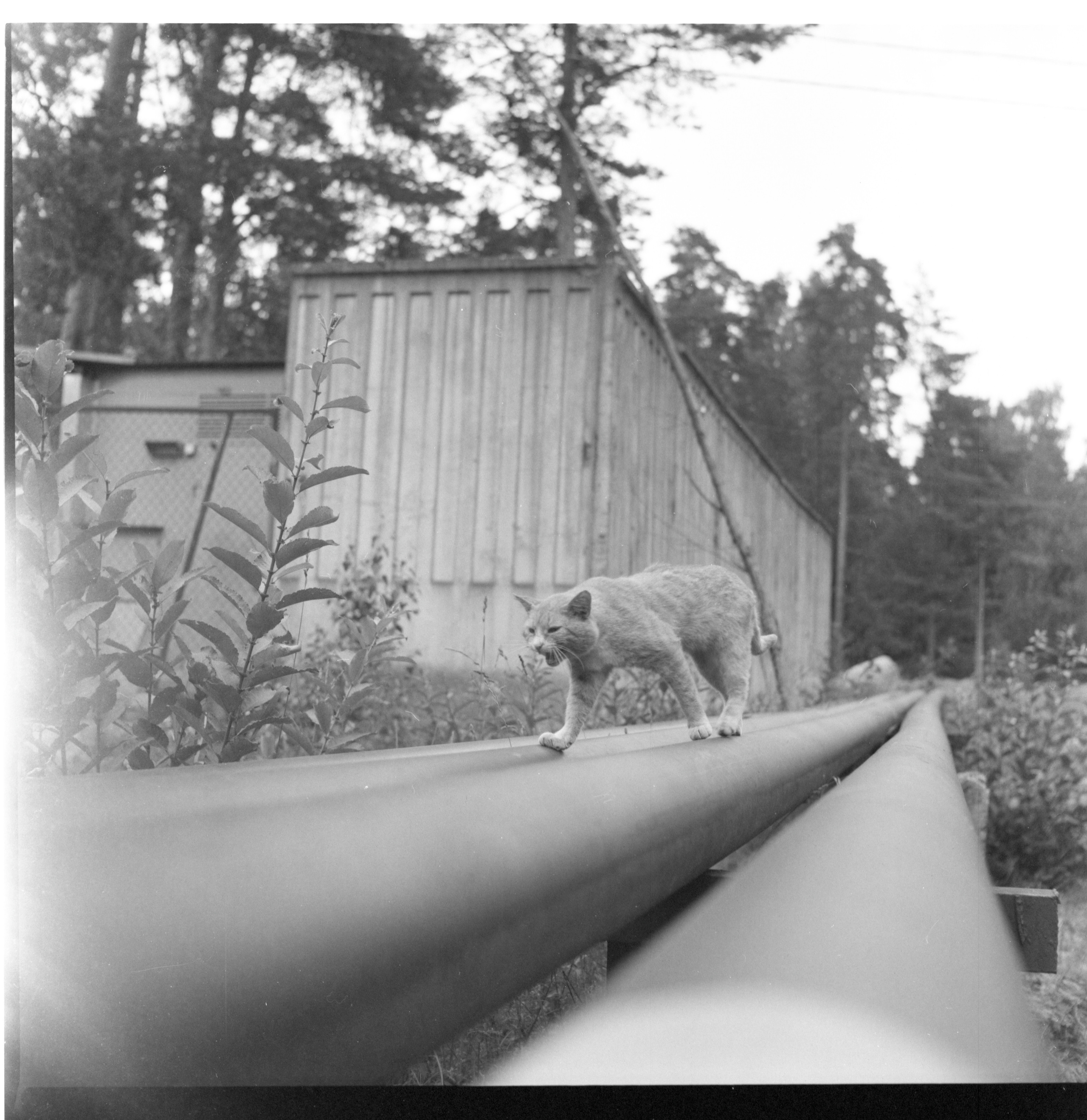 Интерьерные фотографии. Илья Михачёв Фотограф ПРО людей