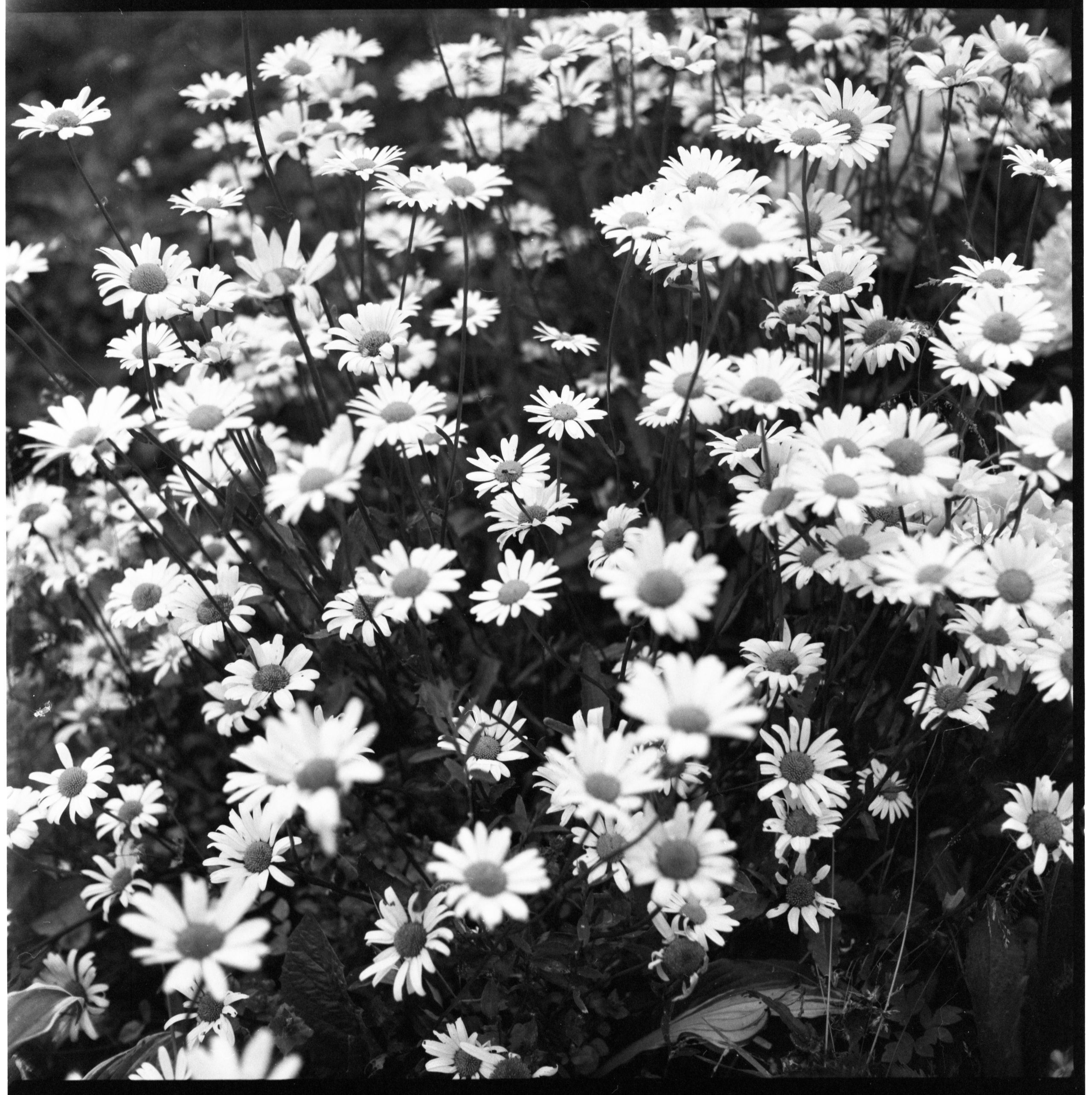 Интерьерные фотографии. Илья Михачёв Фотограф ПРО людей