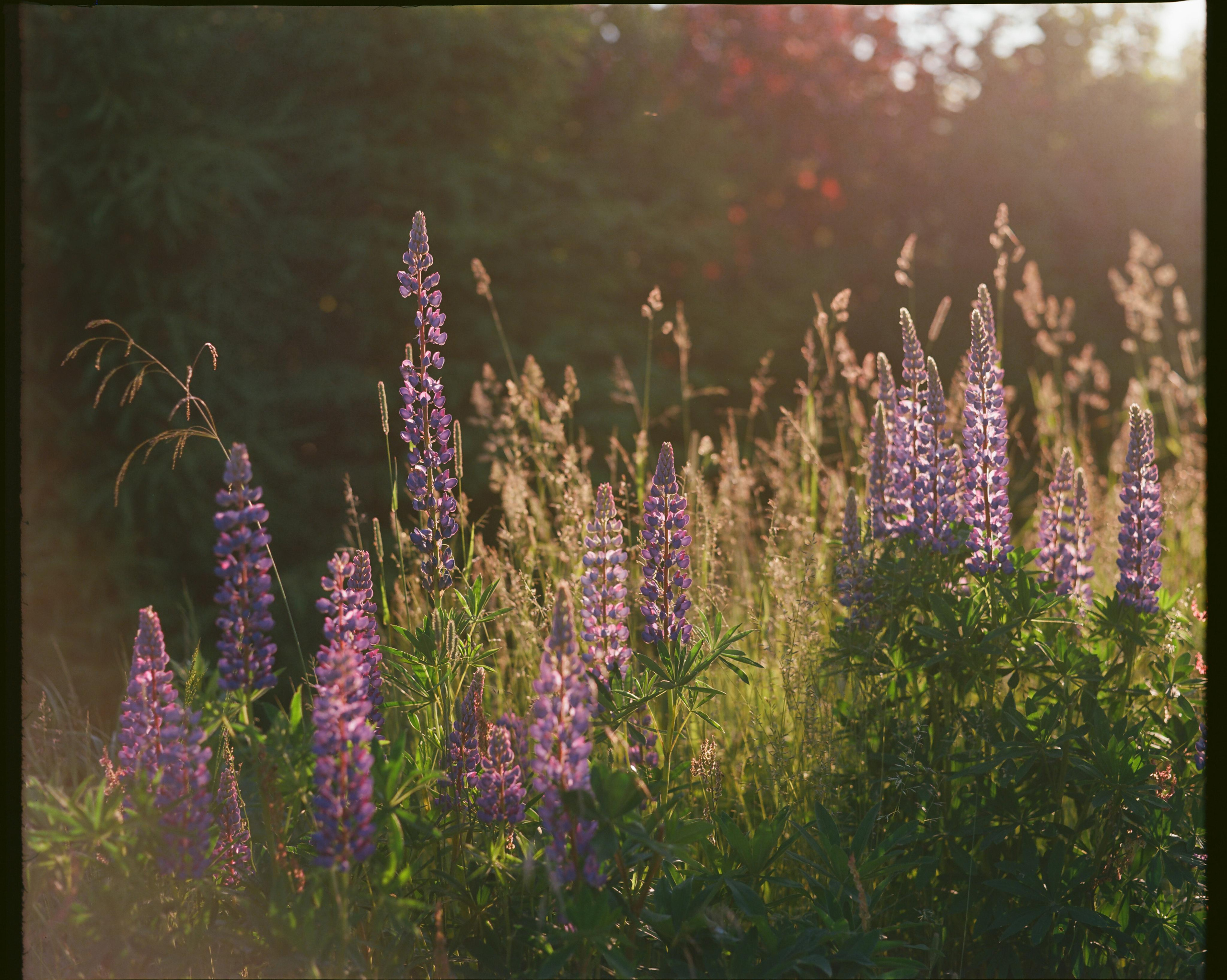 Интерьерные фотографии. Илья Михачёв Фотограф ПРО людей