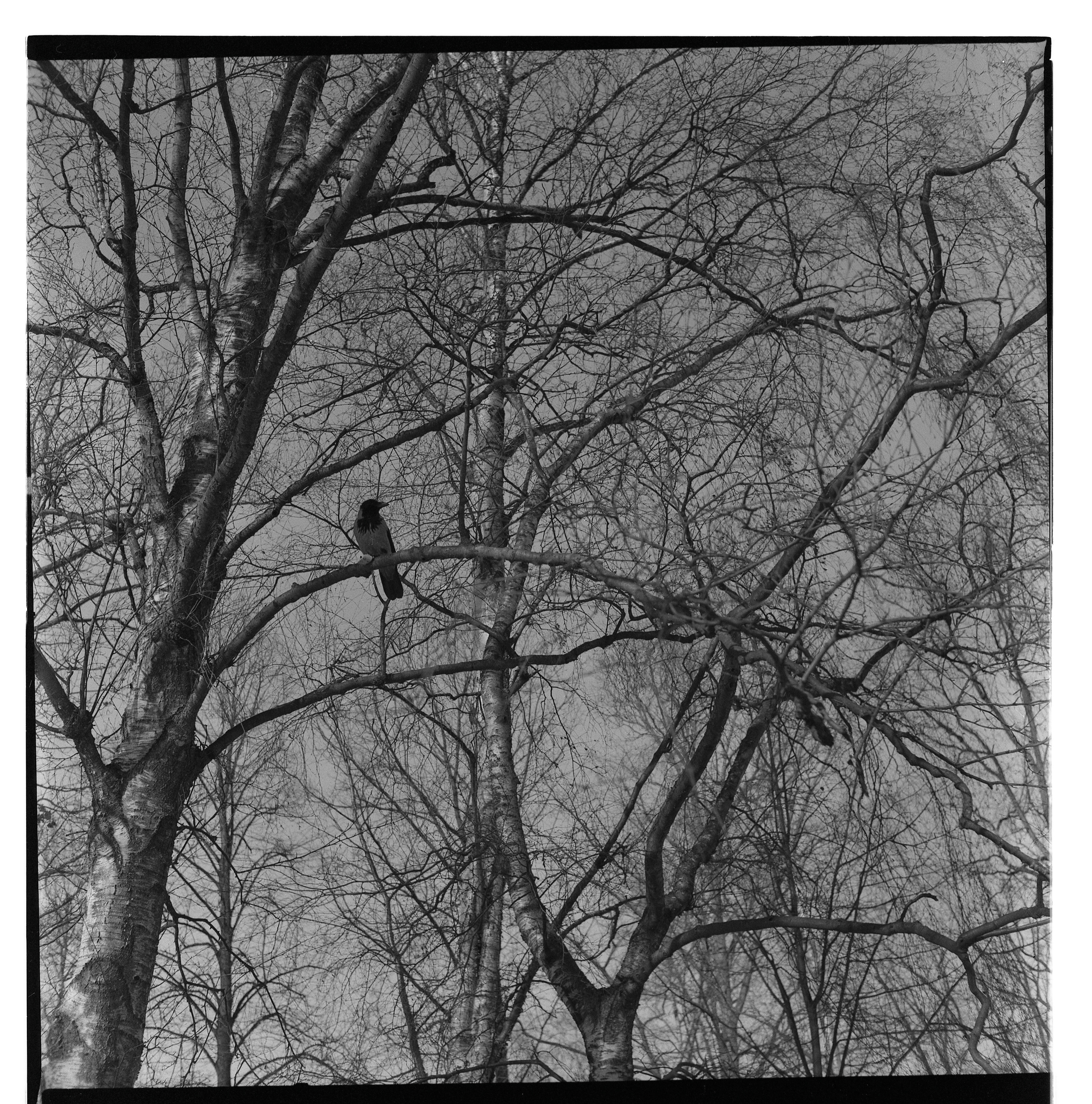 Интерьерные фотографии. Илья Михачёв Фотограф ПРО людей