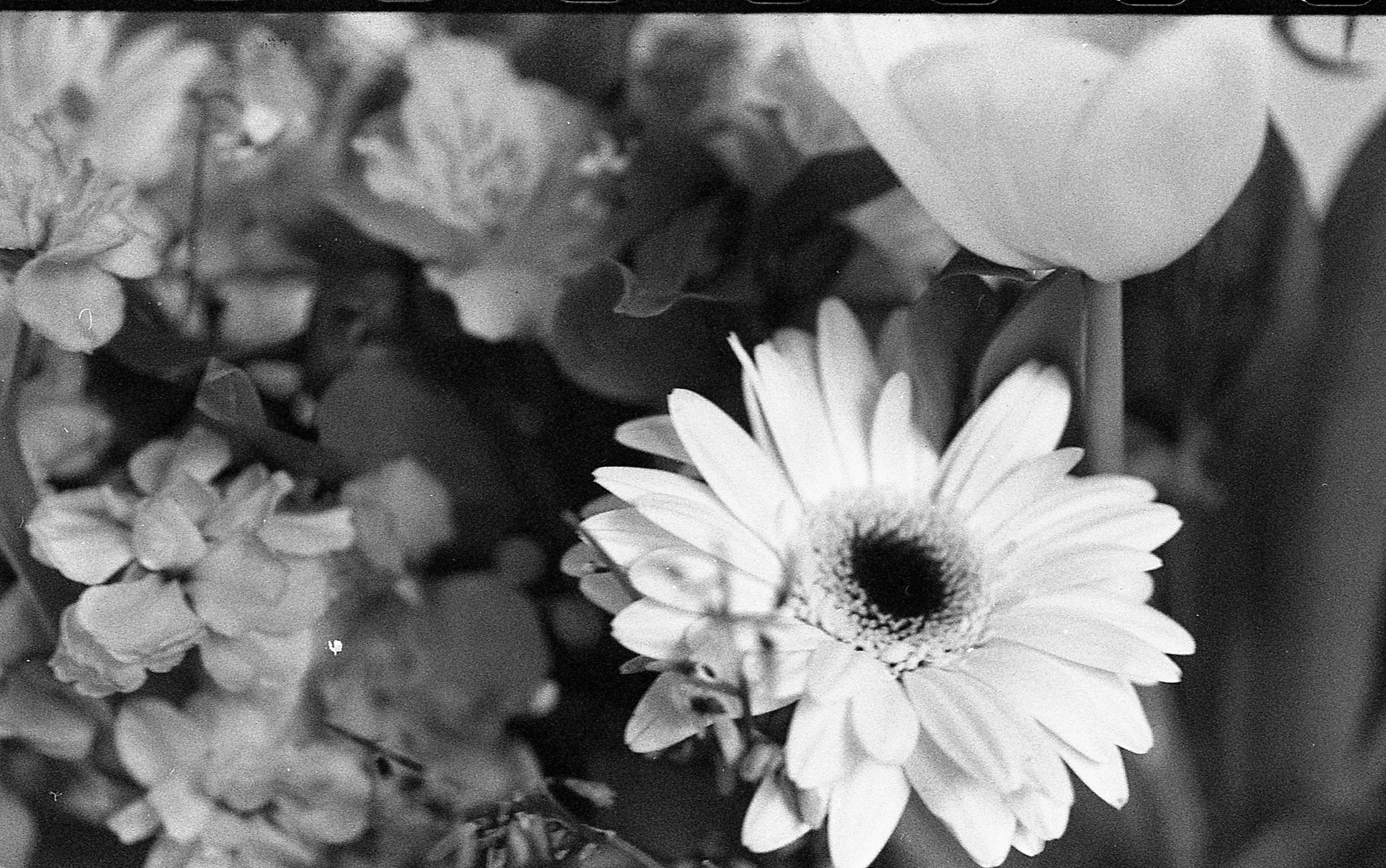 Интерьерные фотографии. Илья Михачёв Фотограф ПРО людей