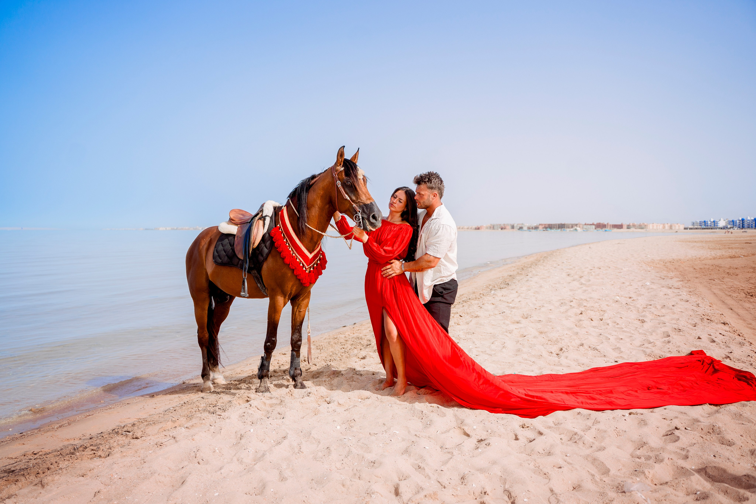 Фотосессия с лошадью на море. Photographer in Egypt, Hurghada, Luxor, Safaga