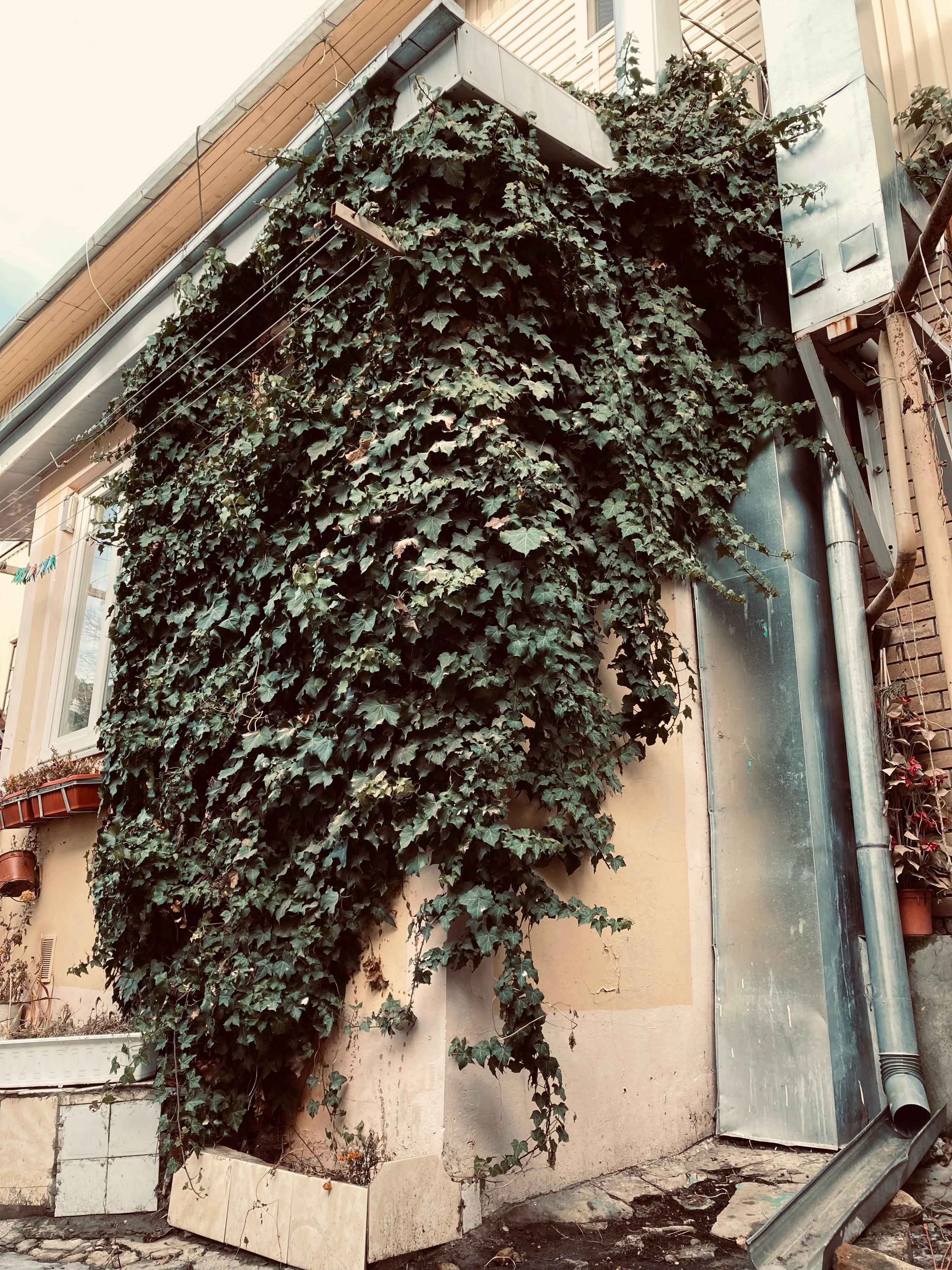 Кисловодск. Смотри, красота!