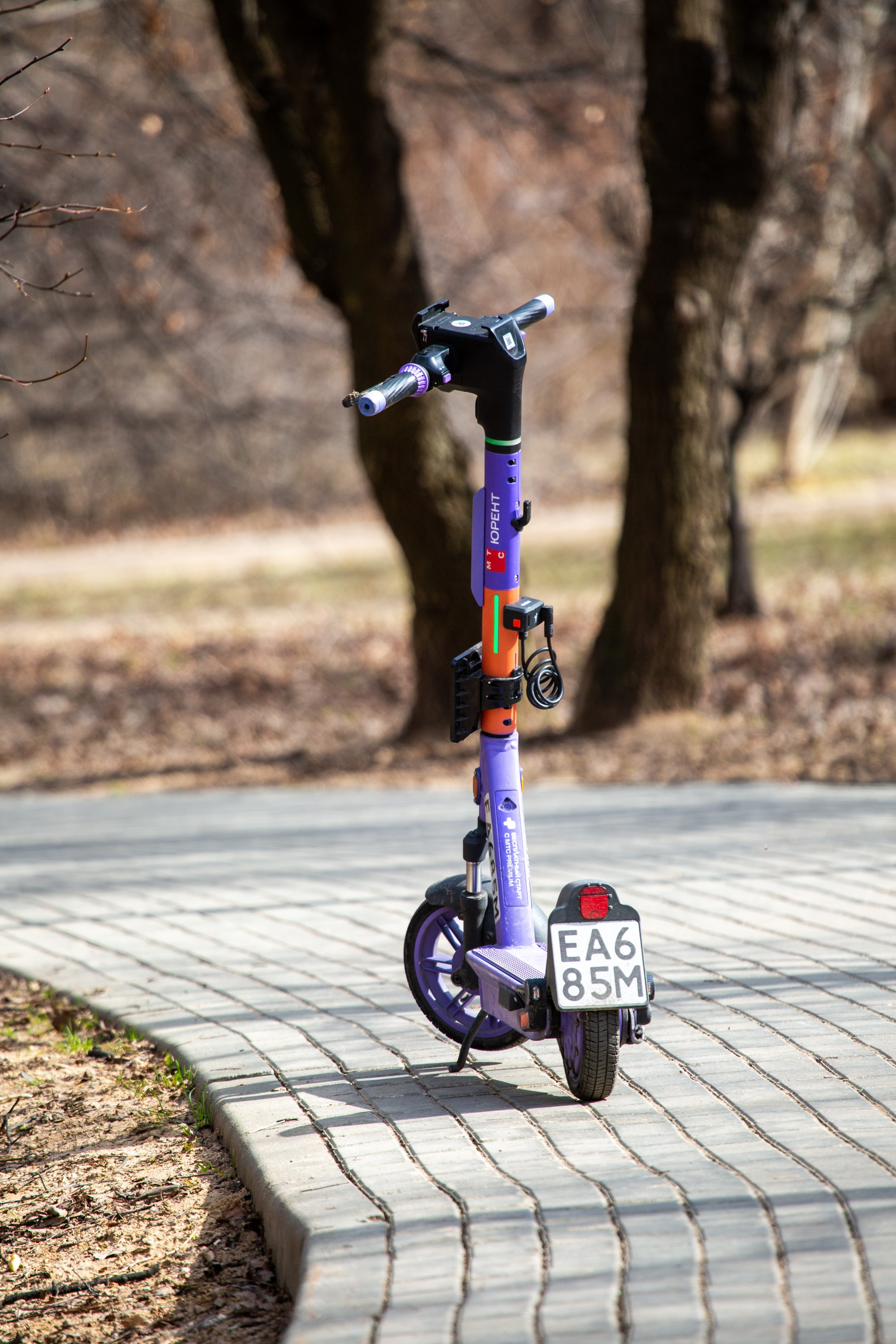 Весенняя фотопрогулка. Главная