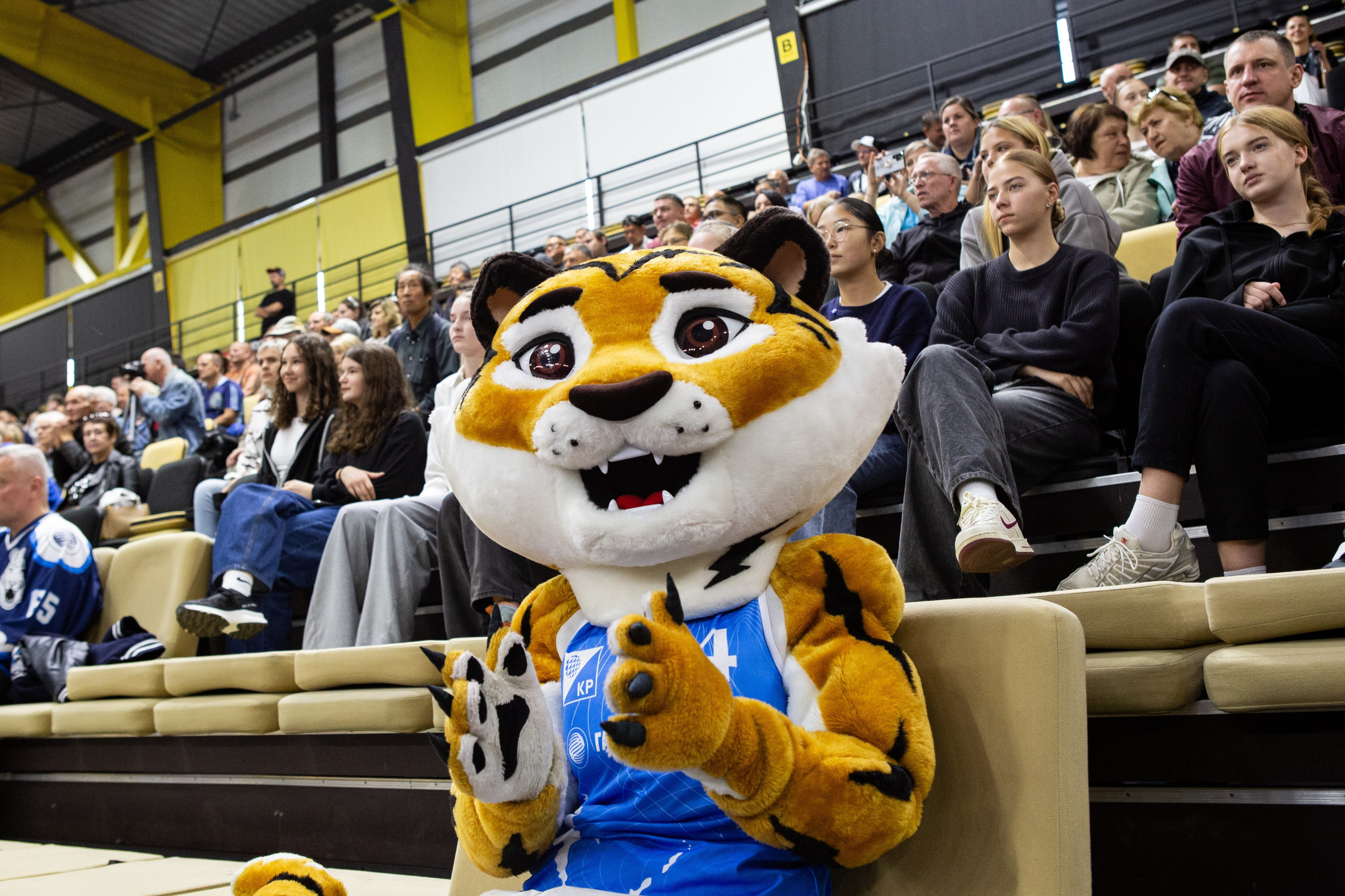 Один день из тура чемпионата России по волейболу. Кутузов Евгений Фотограф в Южно-Сахалинске