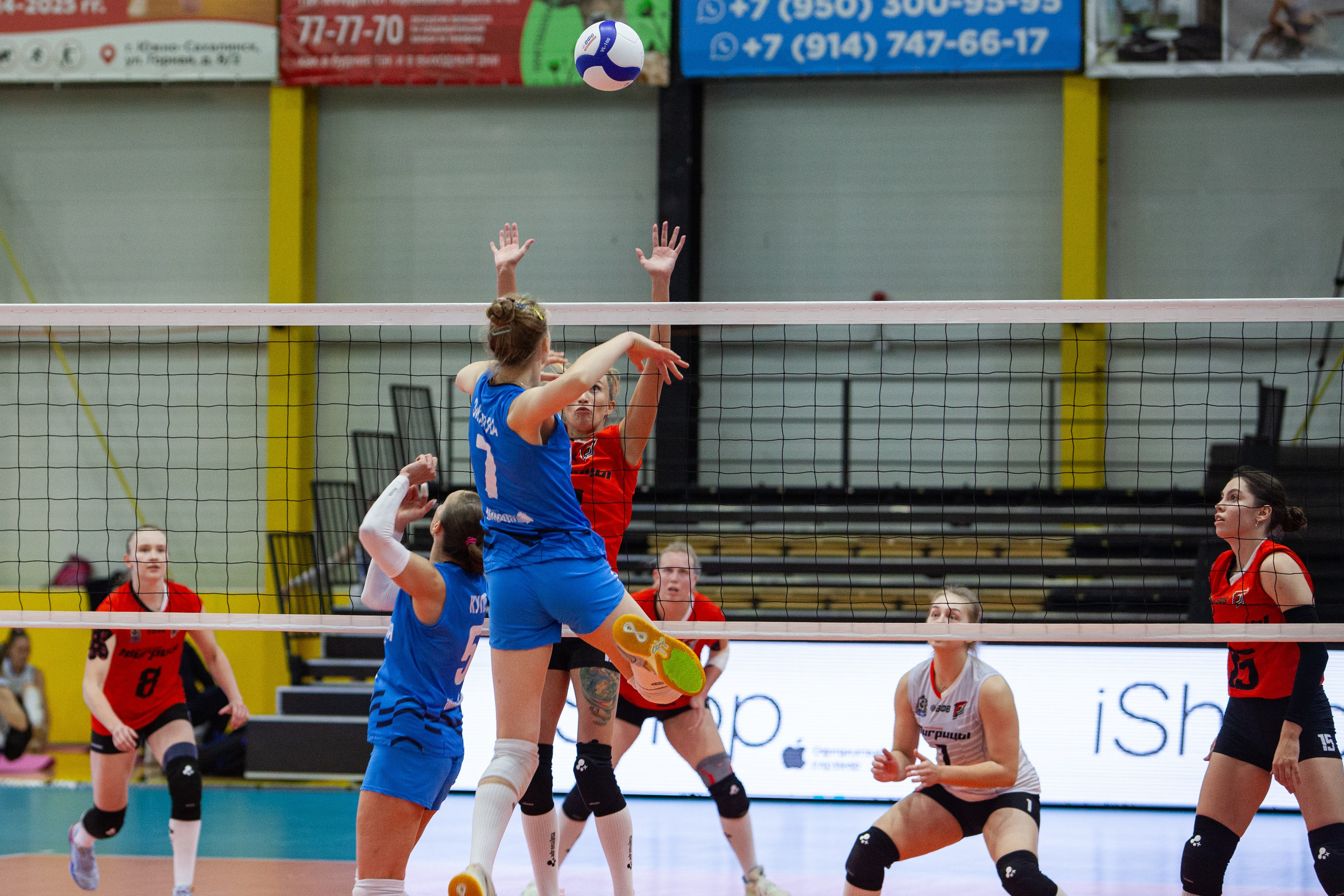 Один день из тура чемпионата России по волейболу. Кутузов Евгений Фотограф в Южно-Сахалинске