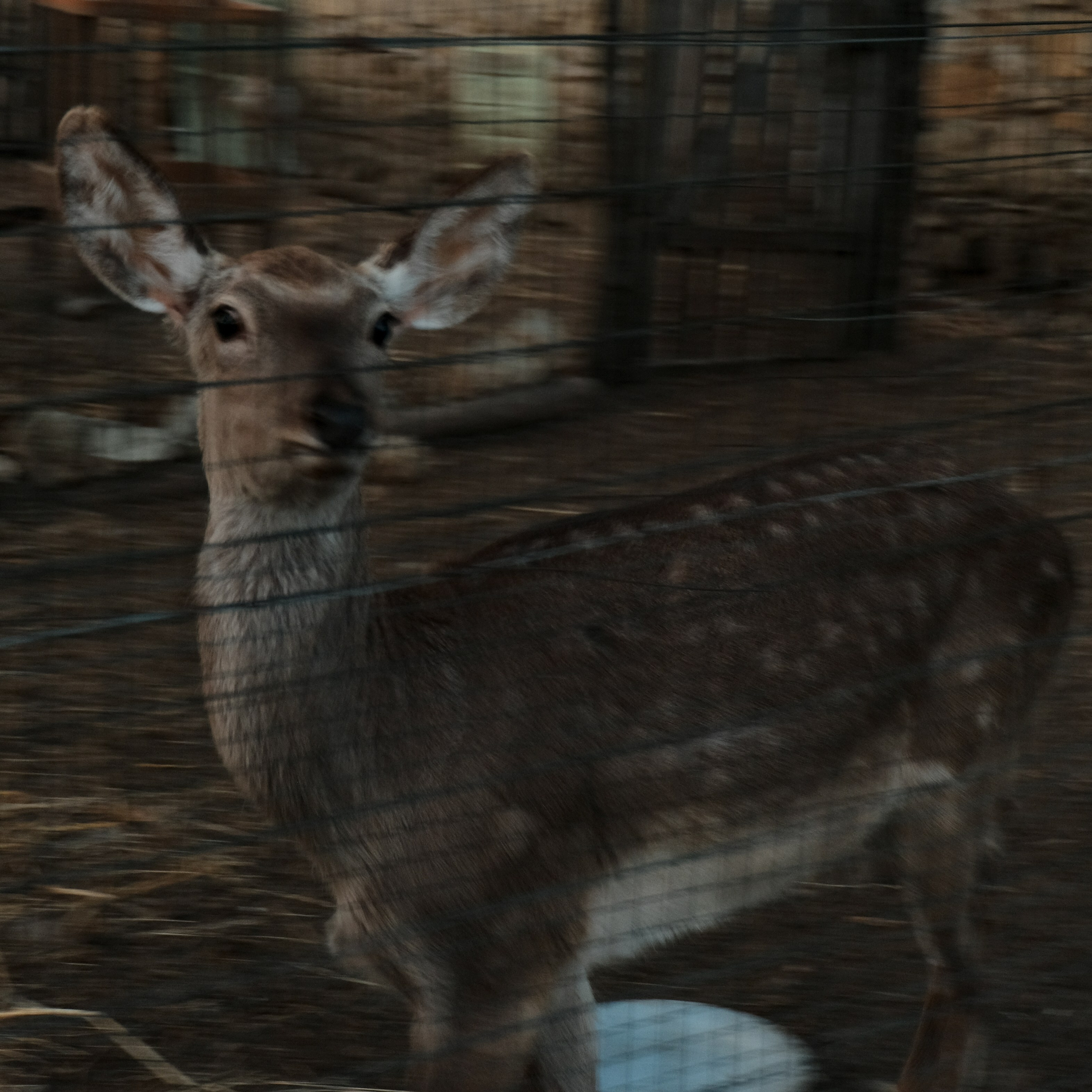 Russian wineries. Creative travel photographer — Berg Daria