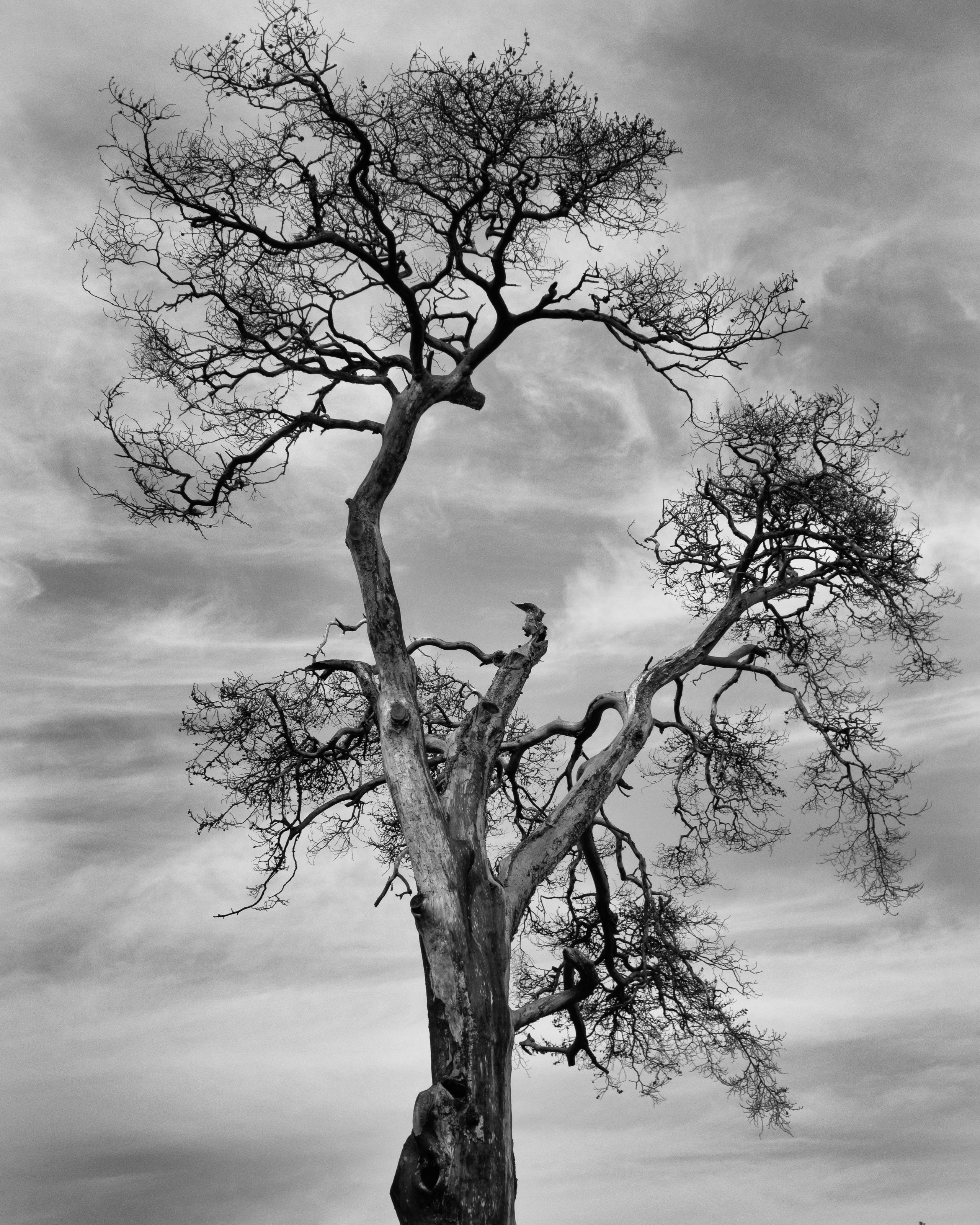 Принты. Фотограф Вера Фролова