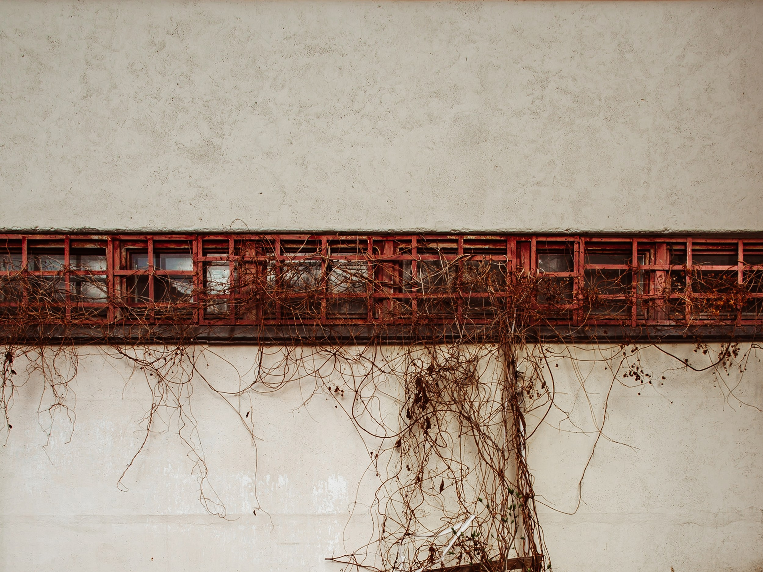 Canvas Aesthetics. Oleg Kozachok — Photographer with Protanopia | Portraits, Texture & Light