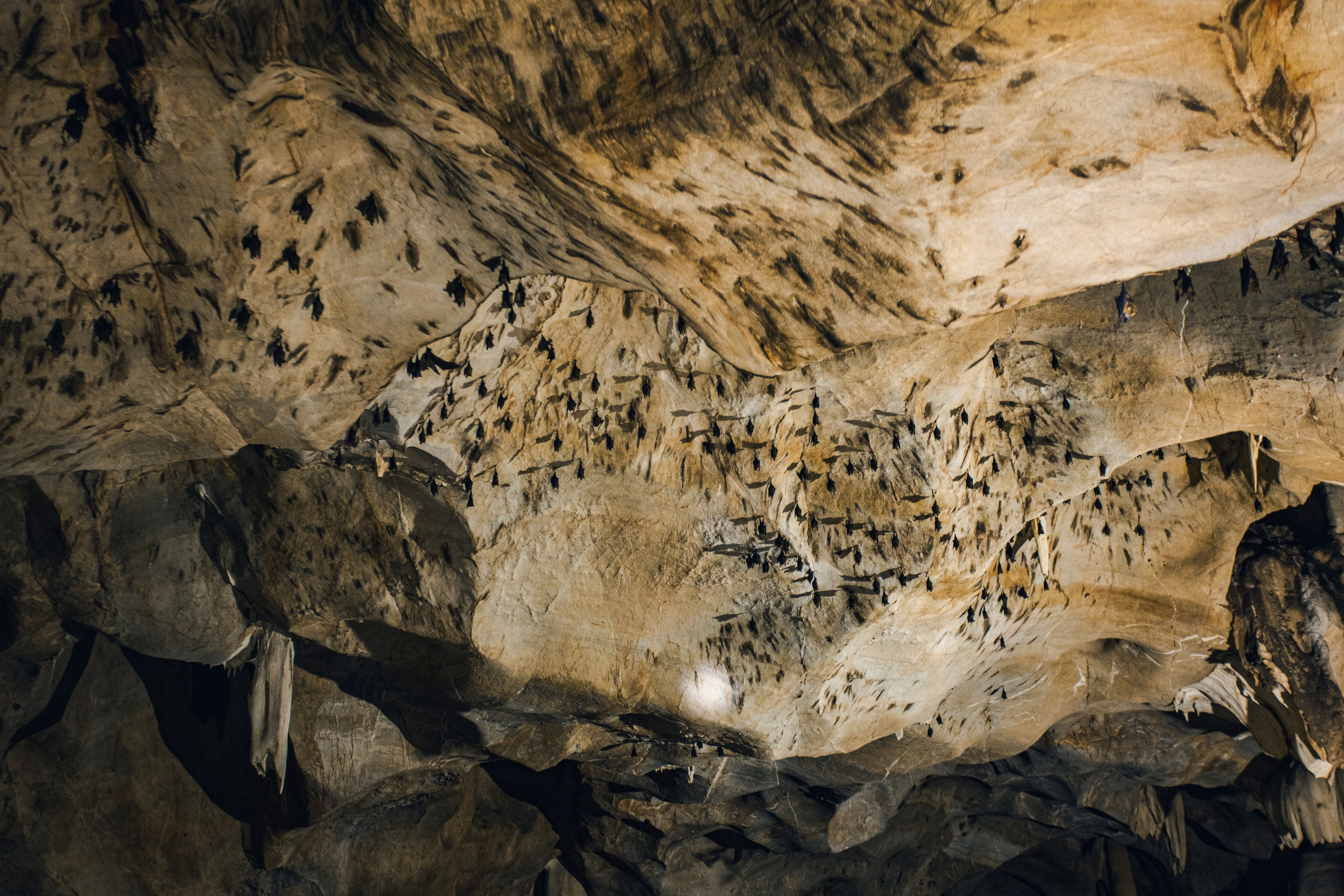 Фототур в Хуахин (Тайланд). Семейный и художественный фотограф в Тюмени Юлия Логинова
