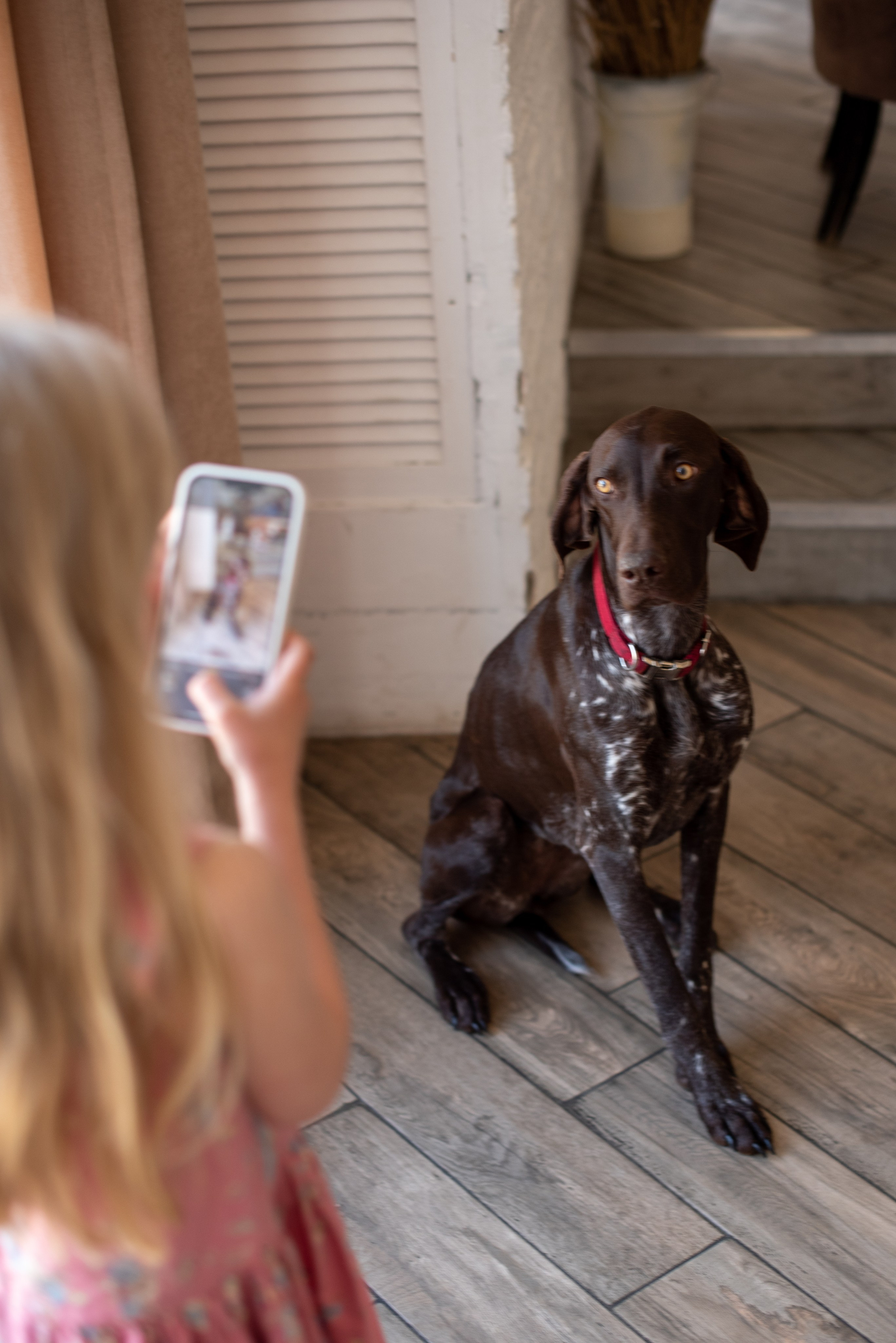 Наталья и ее большая семья. Семейный и свадебный фотограф в Москве Пугачева Ольга
