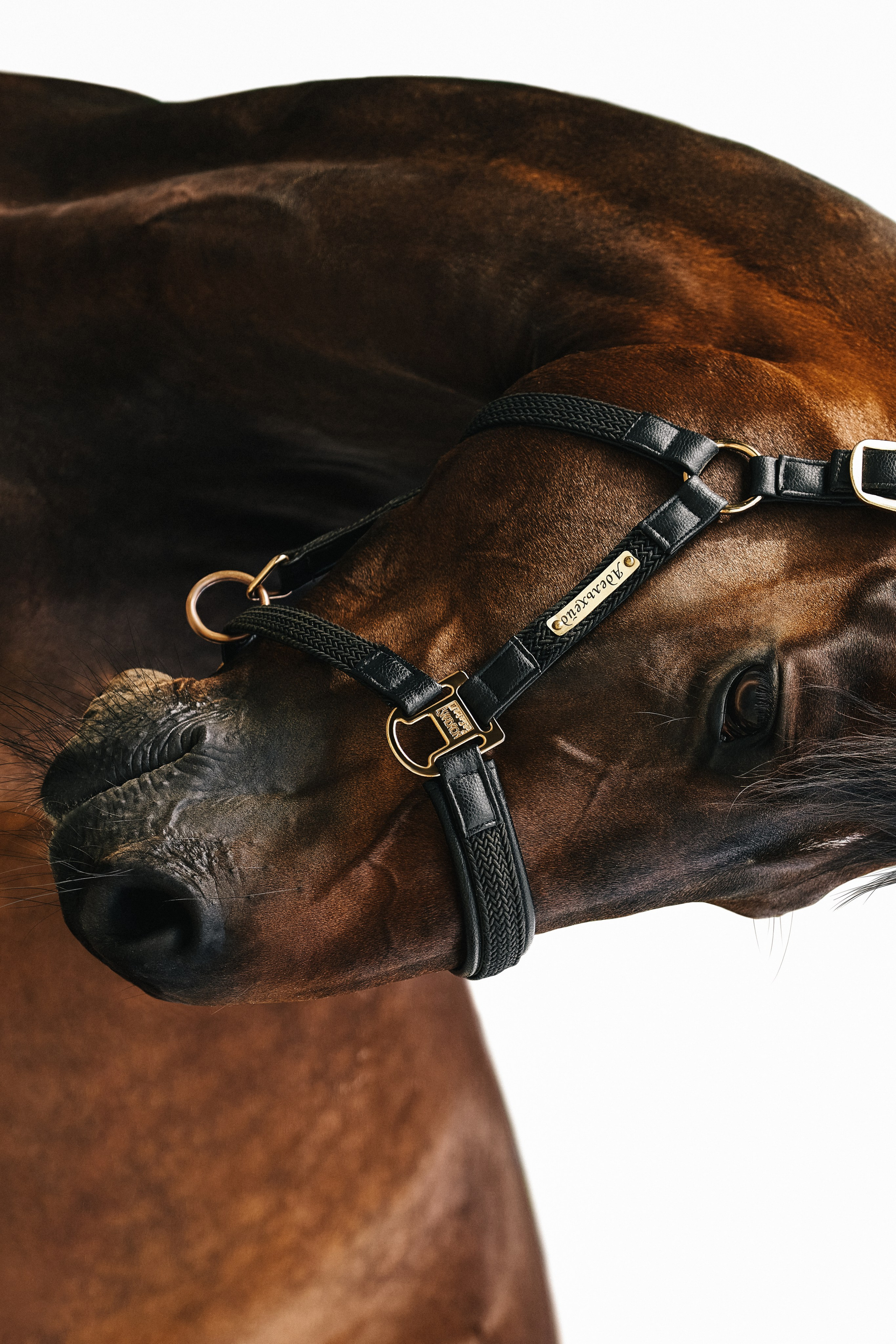 Фотограф Москва Кристина Джоанна