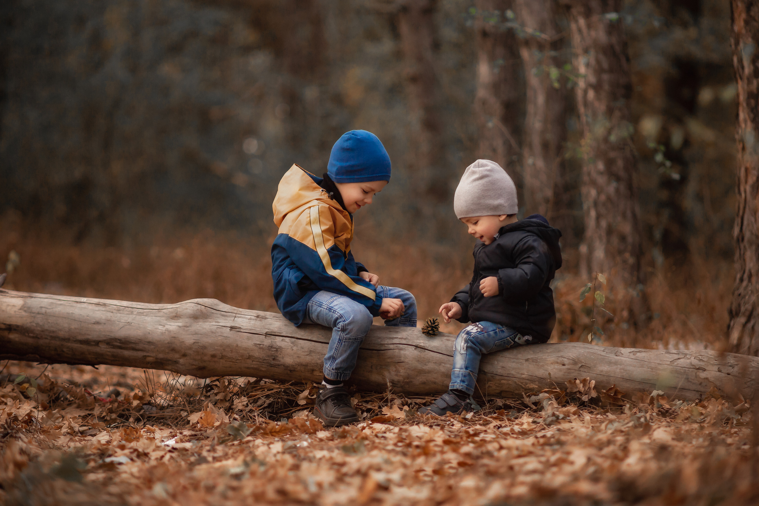 В осеннем лесу…. Анна Демидец — фотограф и маркетолог в Новошахтинске, Шахтах и Ростове-на-Дону