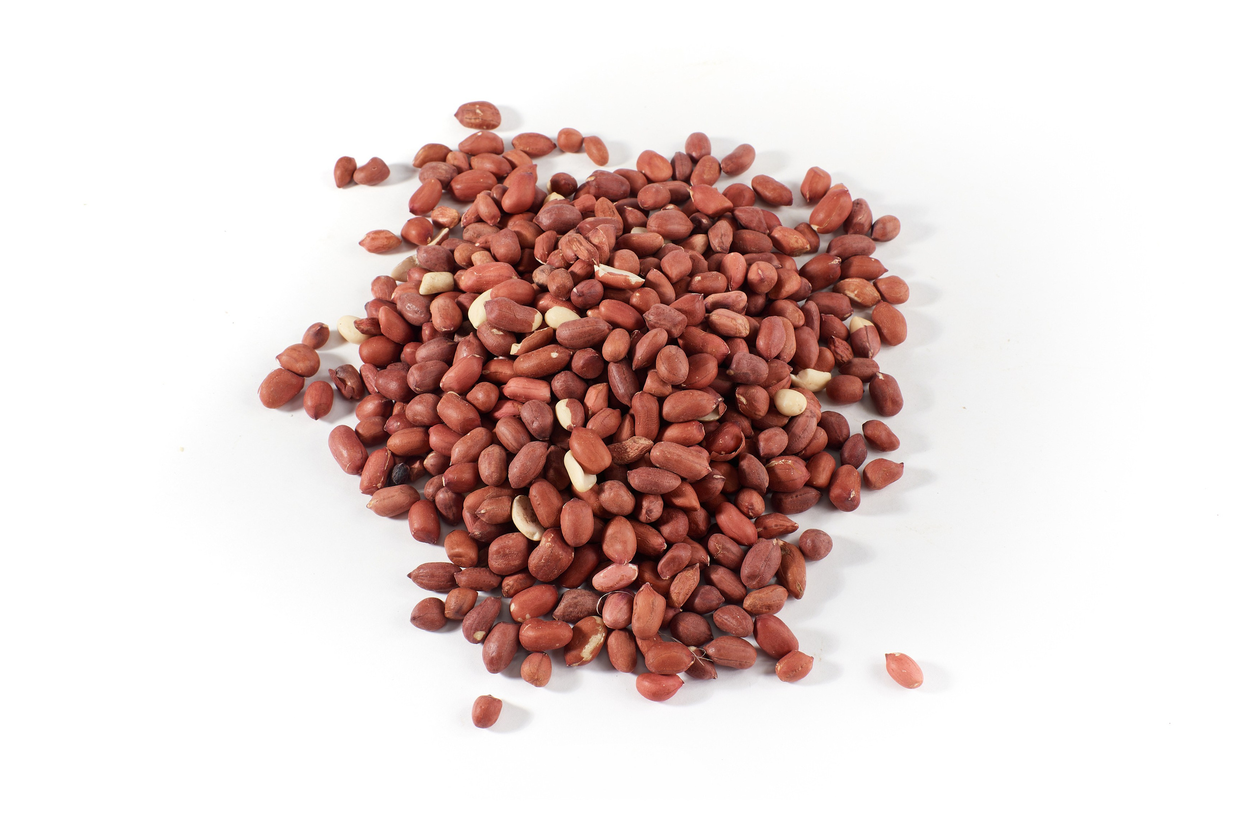 Nut4Life. Фотограф Сергей Бойко Москва