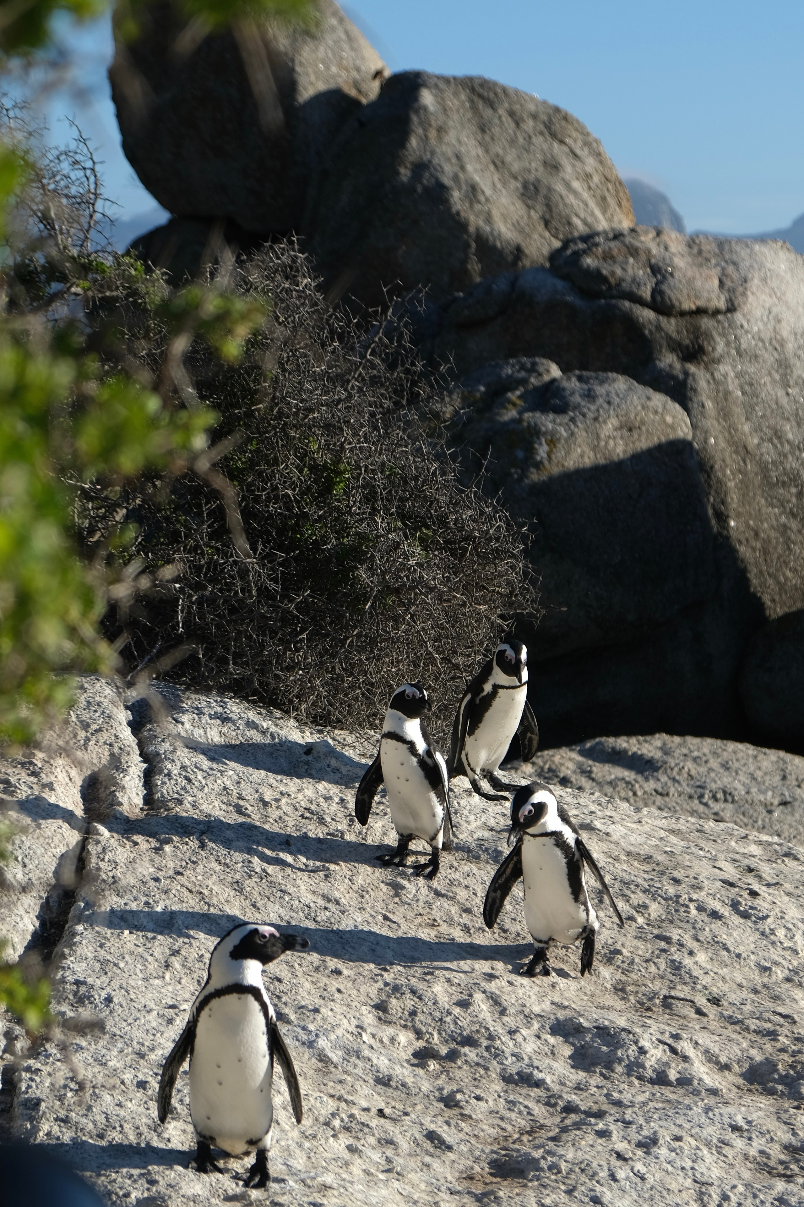 Nataresso | фотограф Москва