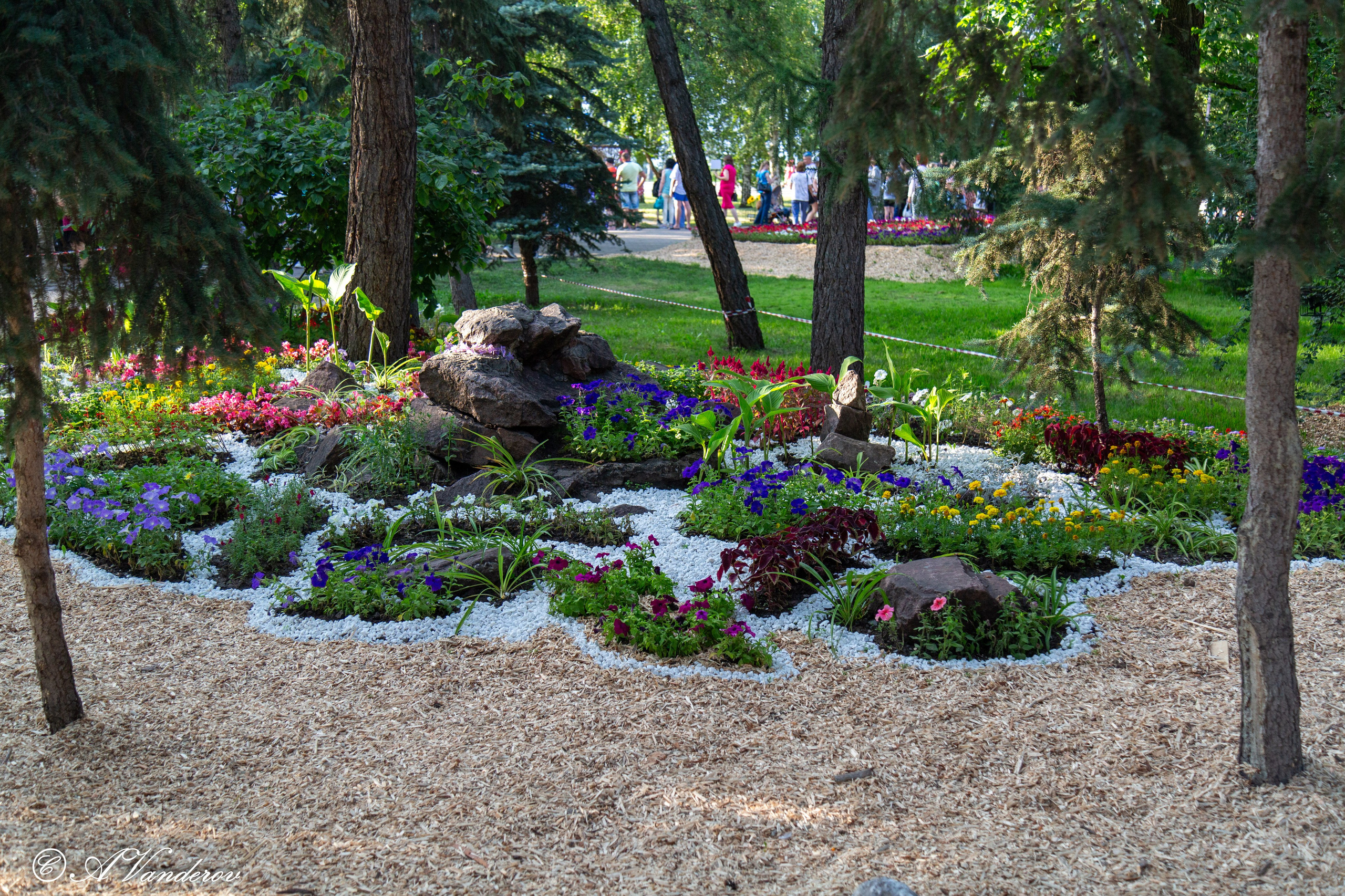 День города 03.08.2024. Фотограф Омск | Александр Вандеров