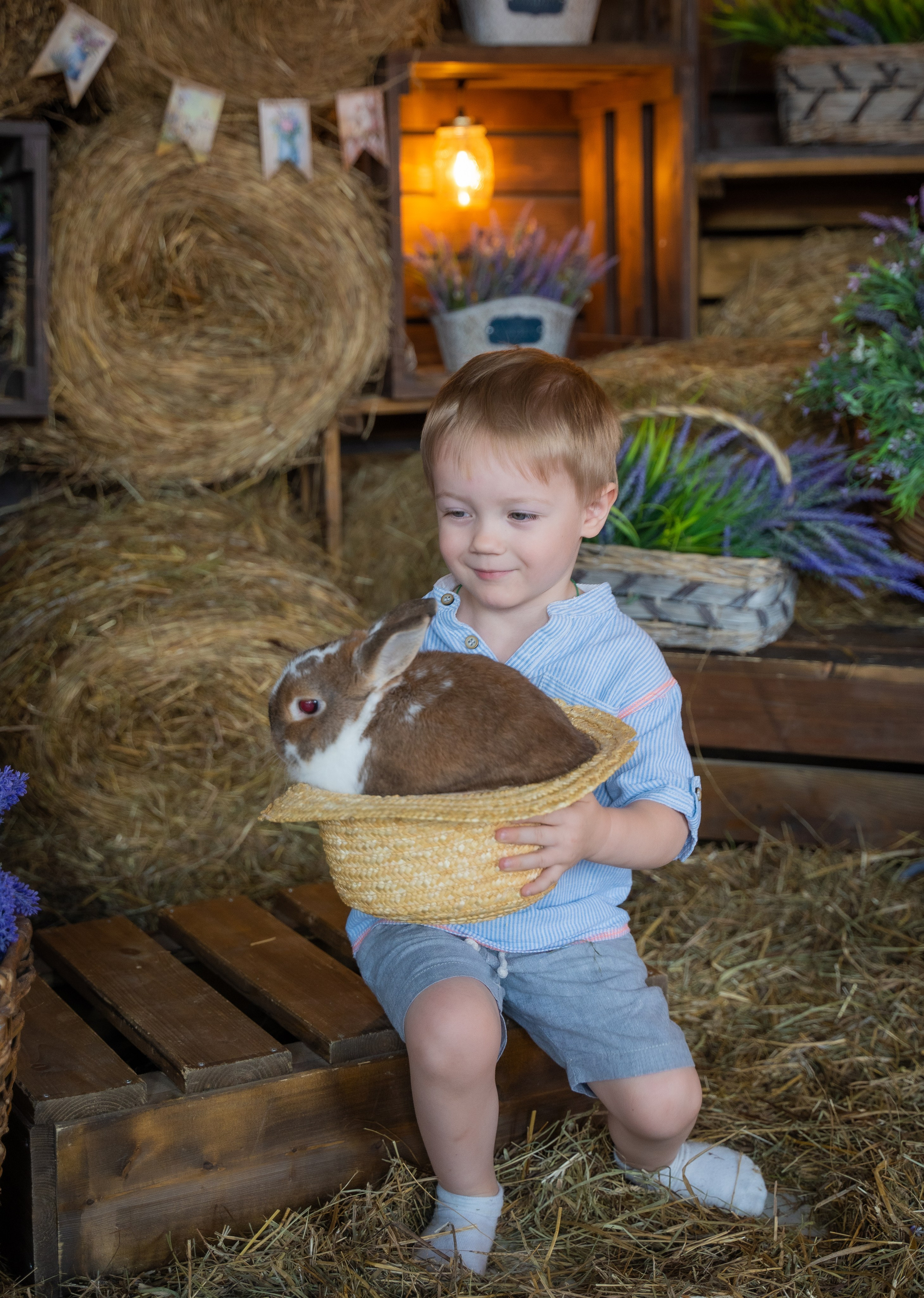 Фотосессия с кроликом в студии